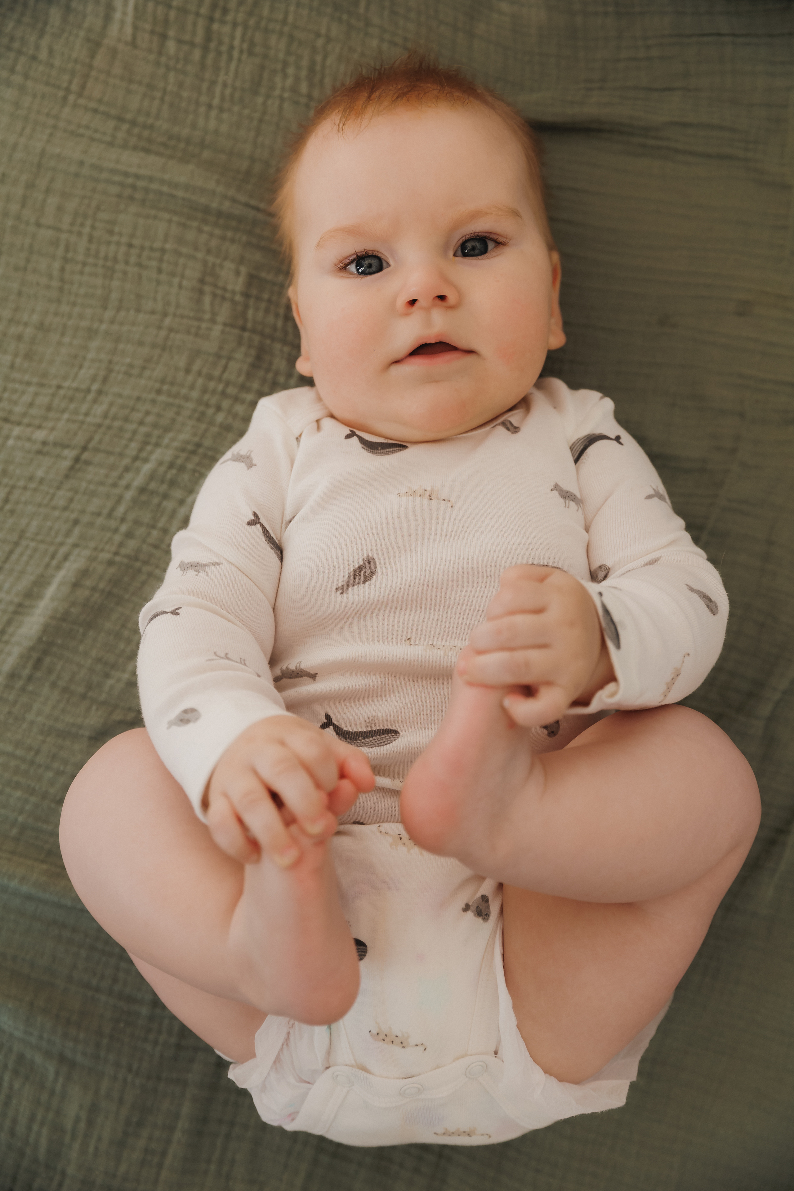 Лев Мама Папа. Фотограф в Волгограде — Александра Искандерова