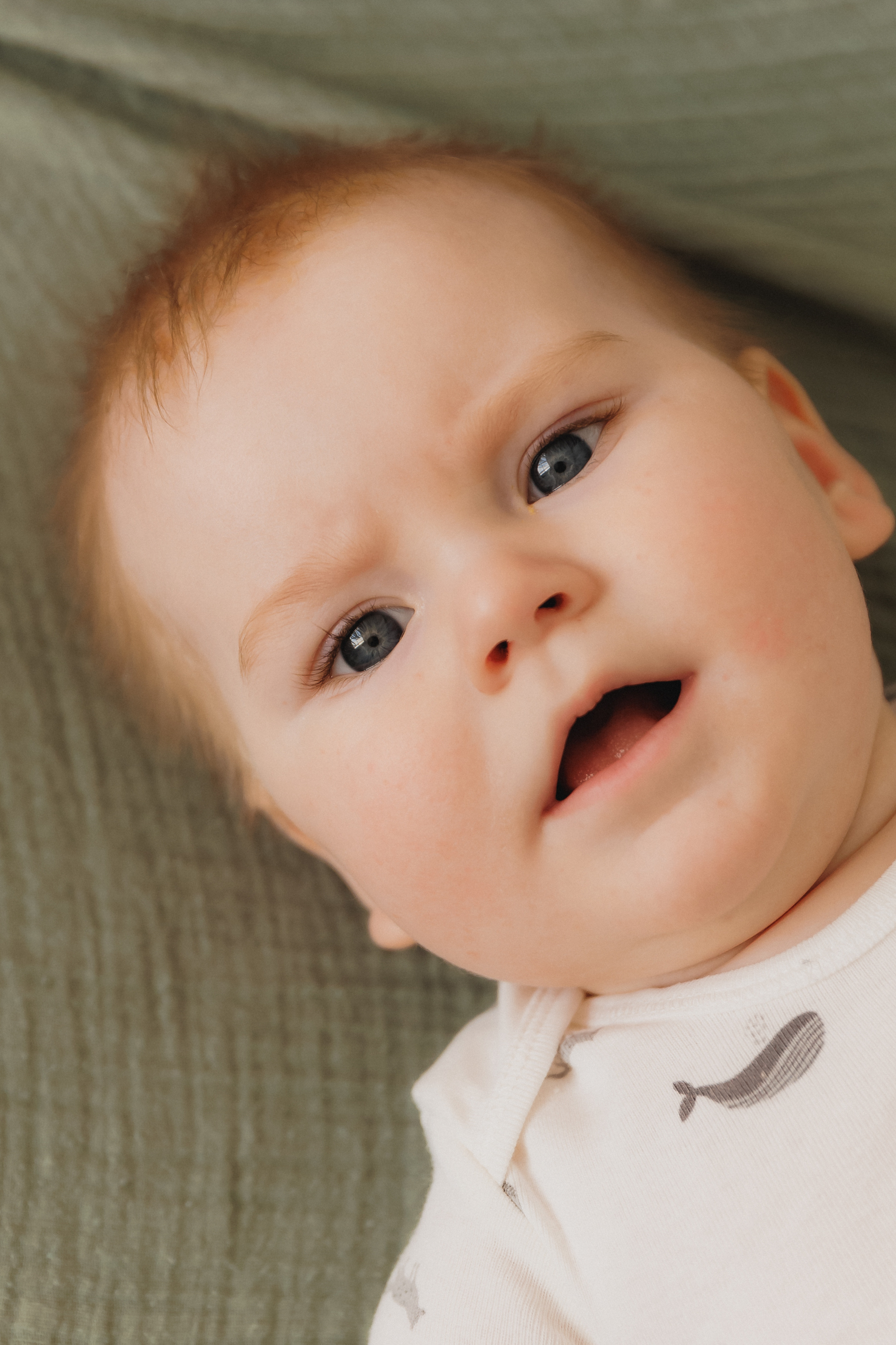 Лев Мама Папа. Фотограф в Волгограде — Александра Искандерова