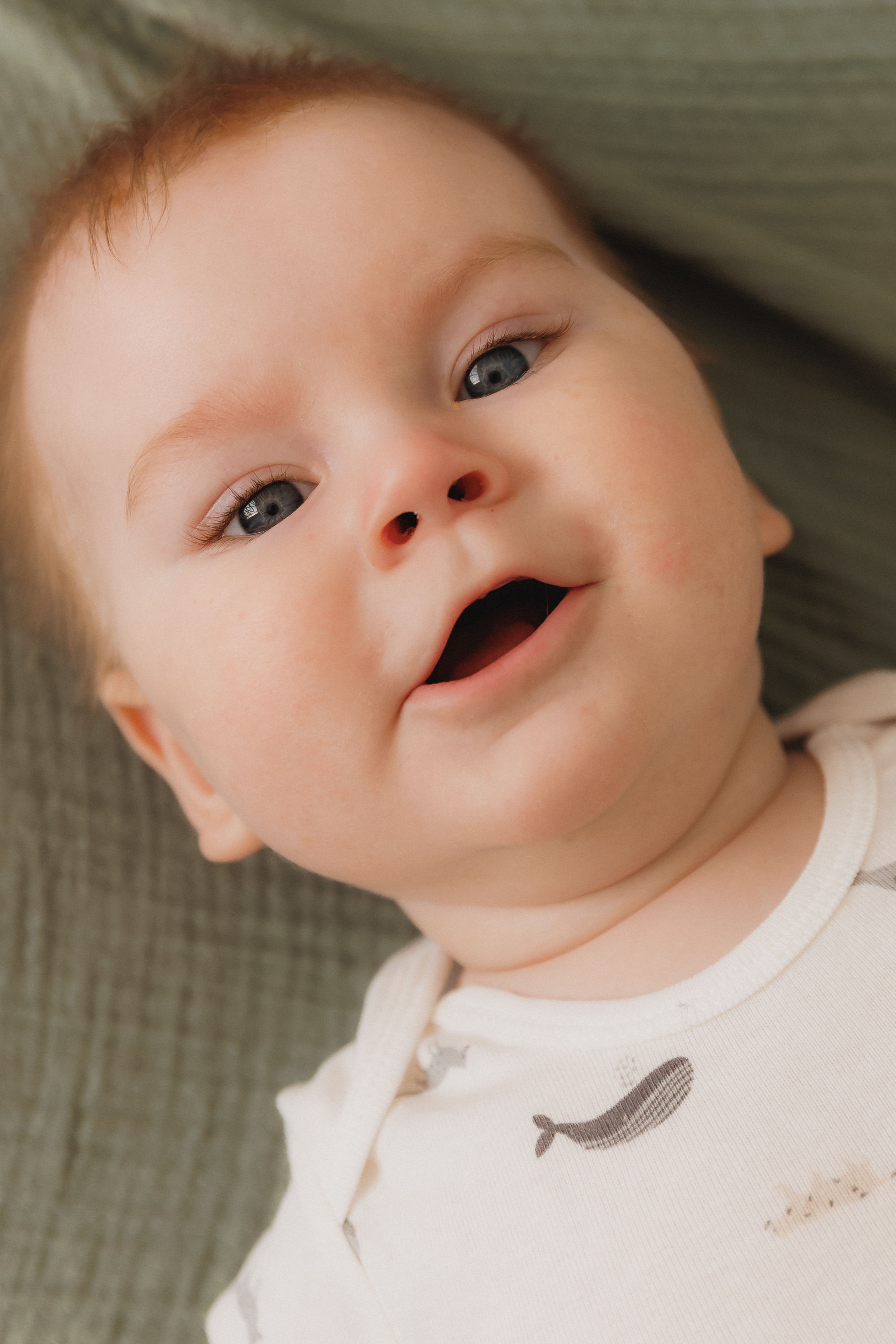 Лев Мама Папа. Фотограф в Волгограде — Александра Искандерова