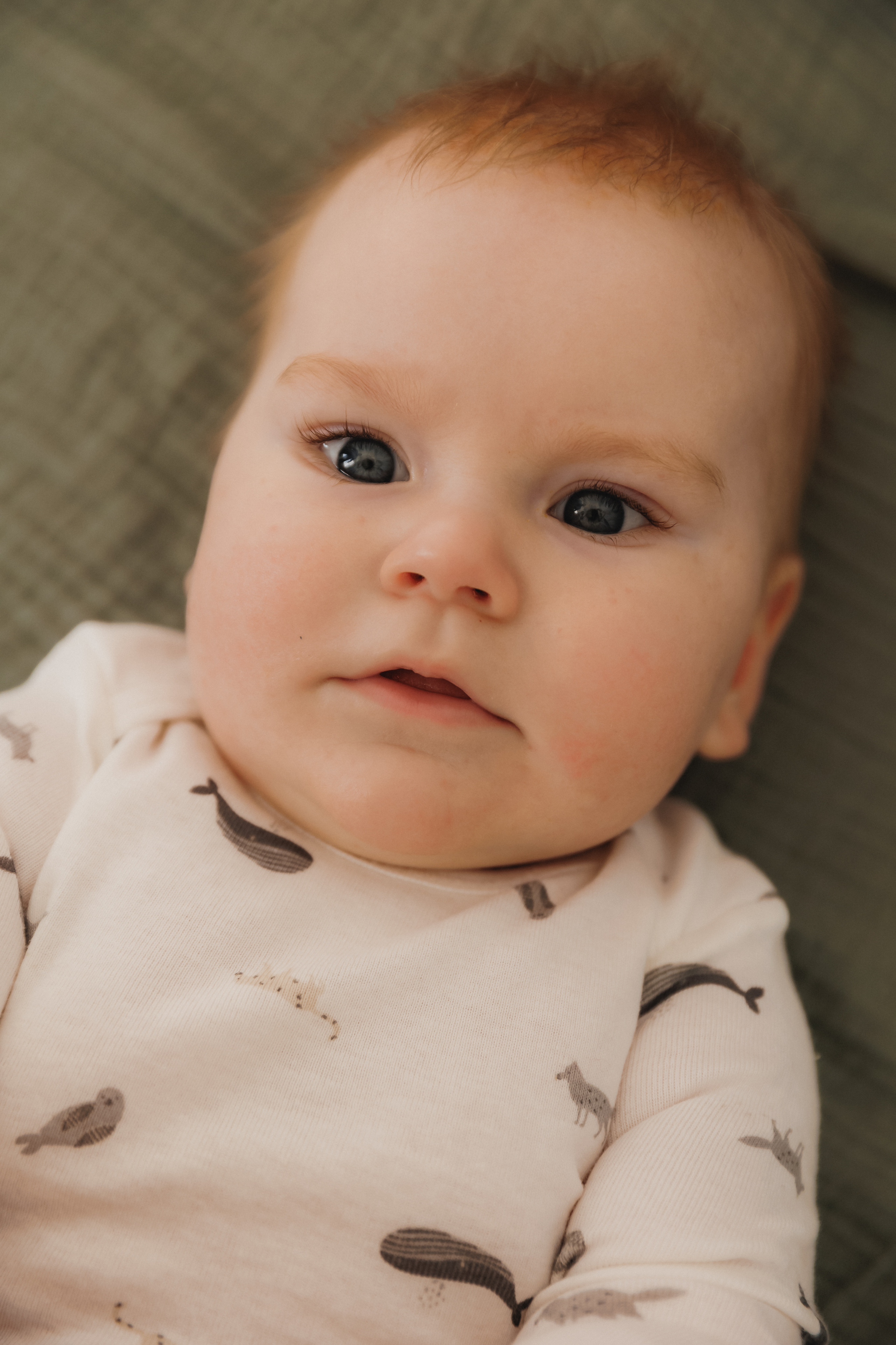 Лев Мама Папа. Фотограф в Волгограде — Александра Искандерова