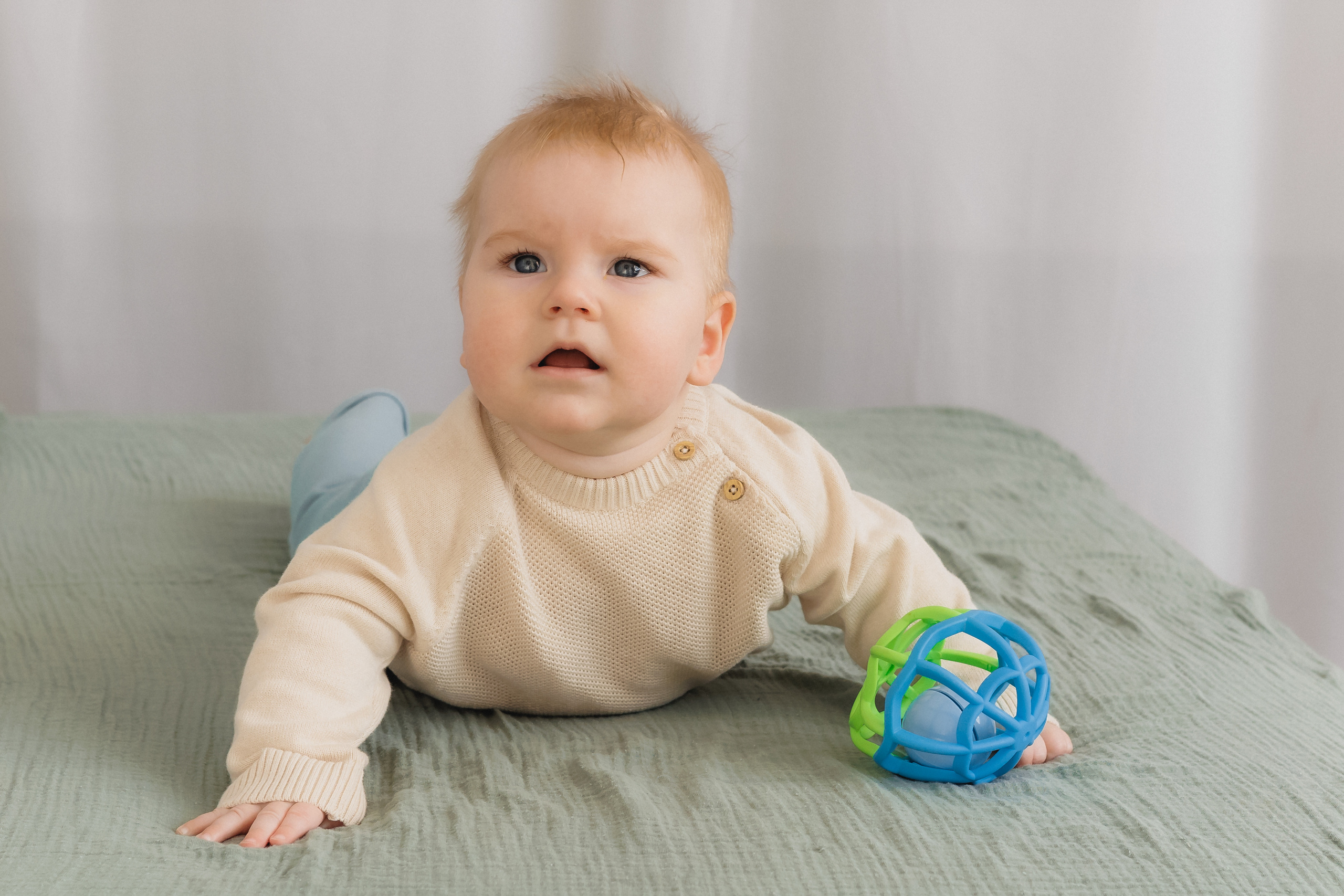 Лев Мама Папа. Фотограф в Волгограде — Александра Искандерова
