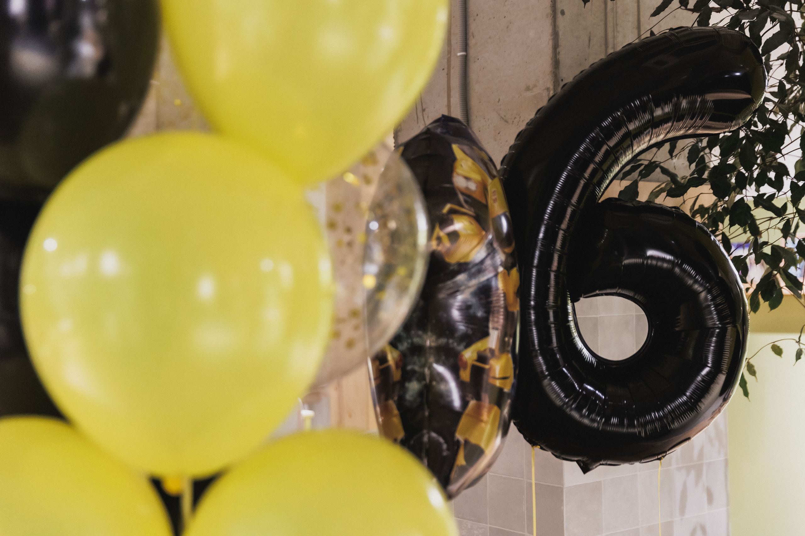 Тусовка Десептиконов. Алексею 6 лет!. Фотограф в Волгограде — Александра Искандерова