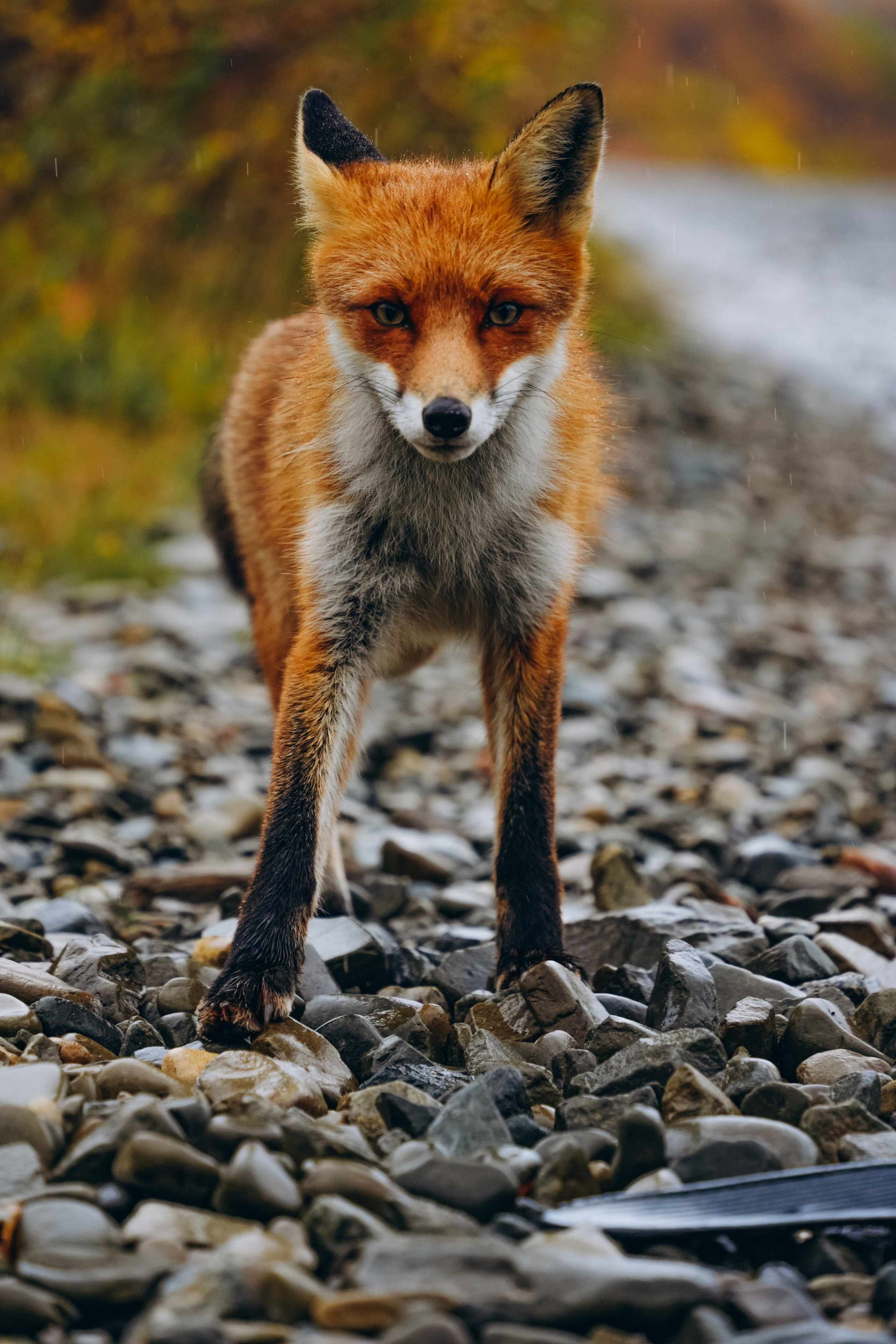 СЕВЕР. Event фотограф Степанова Александра