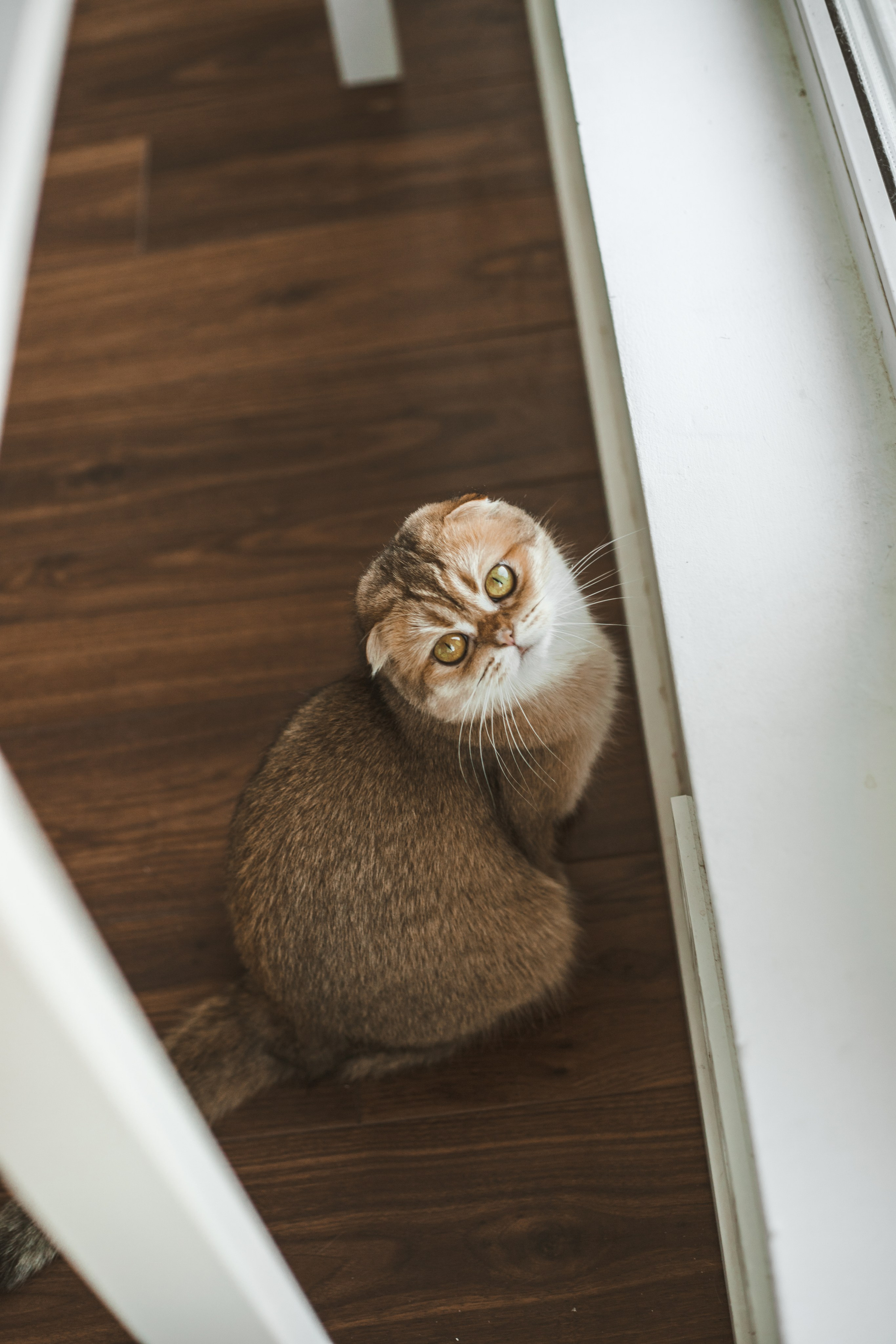 Когда в семье появился ещё один человечек…)) <3. Фотограф Сочи, Адлер, Красная Поляна — Вероника Радченко