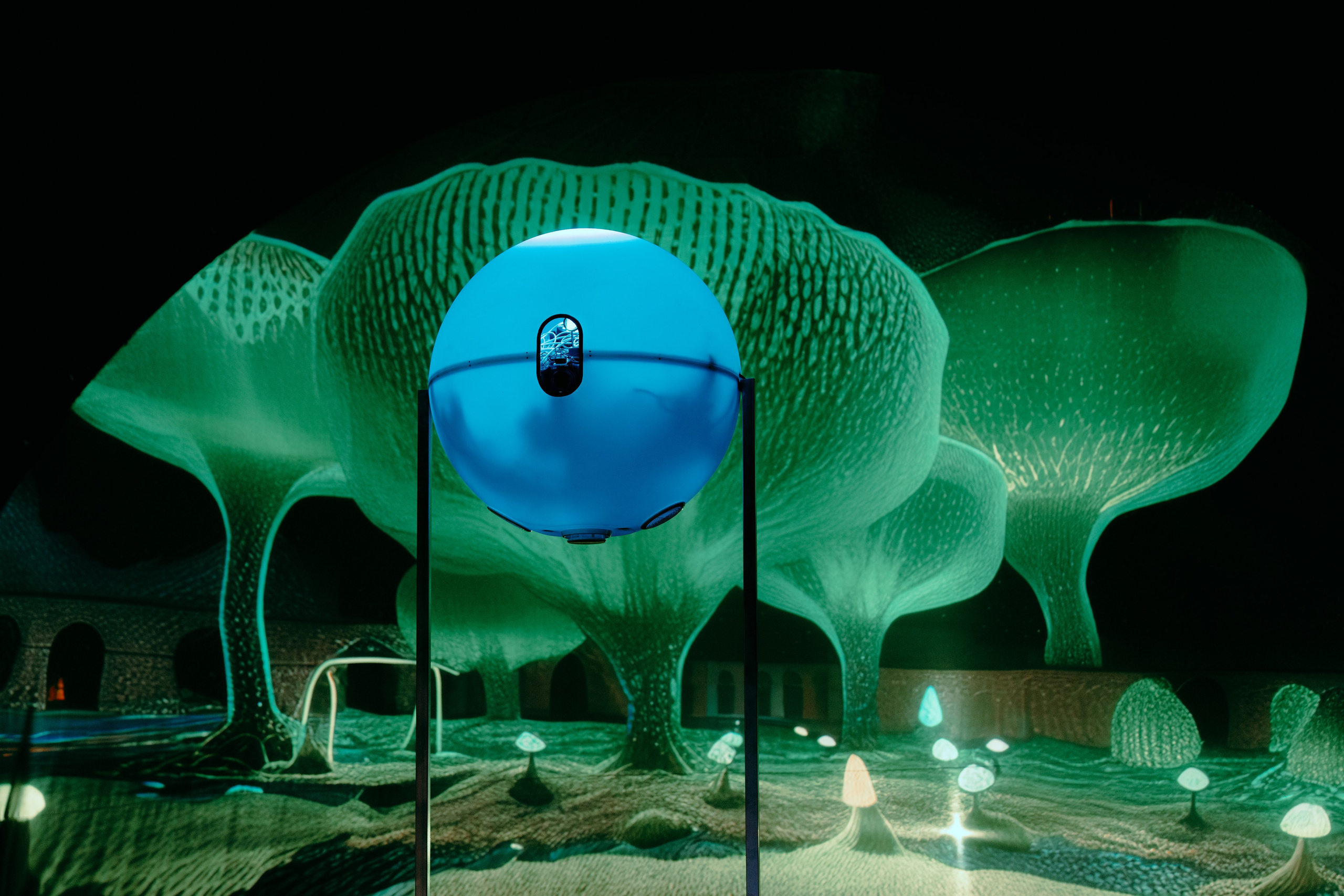 NUR 2024. @tomrus: Рустам Шагиморданов — фотограф