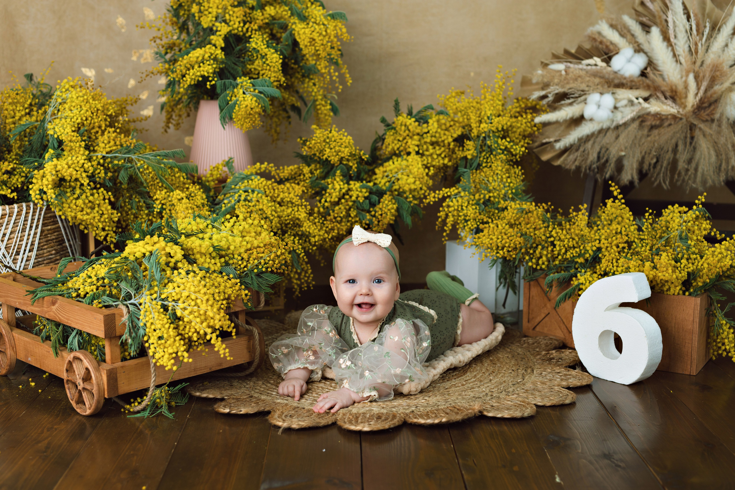 Мимозы. Фотограф Болотова Иветта