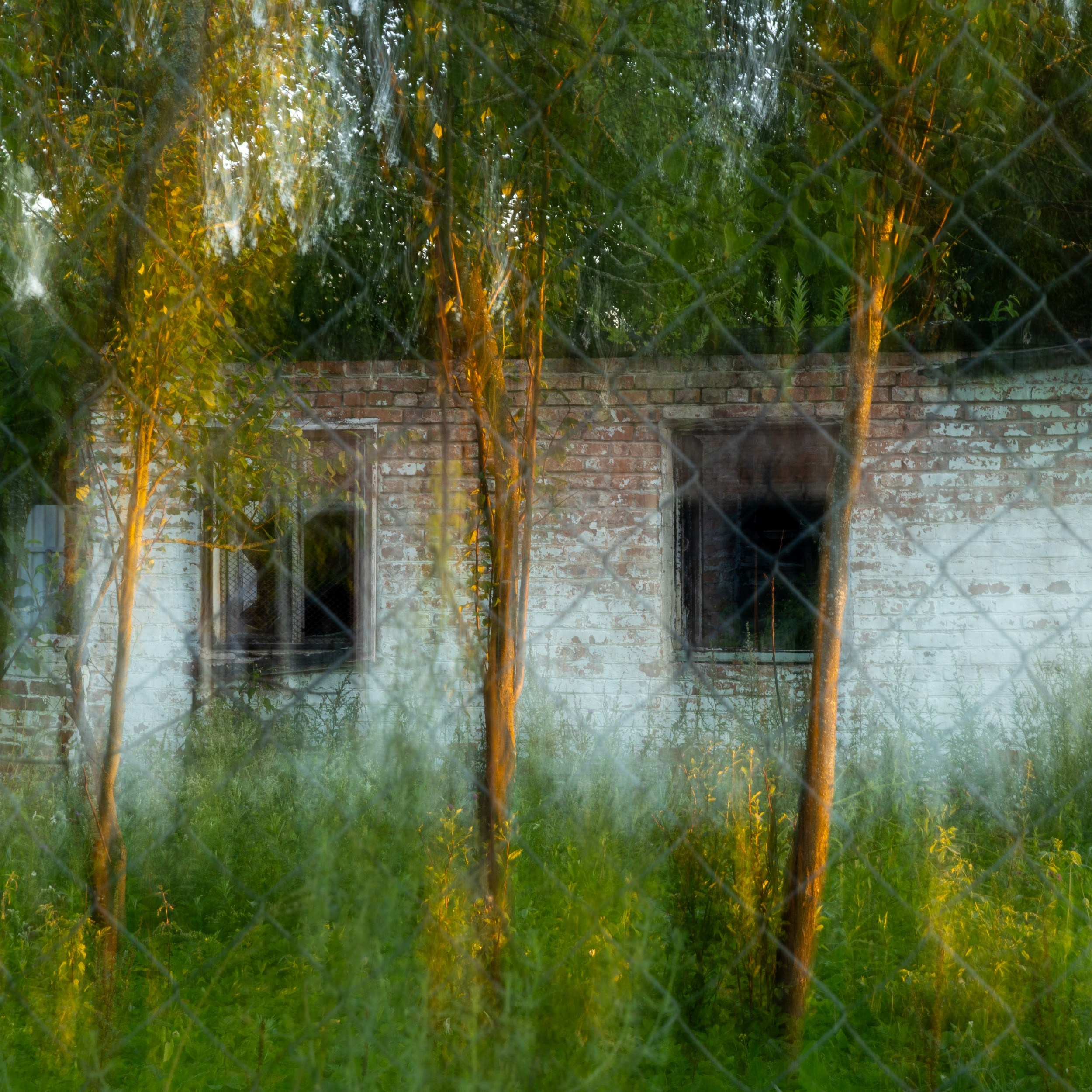 I. Пространство. Лена Румянцева — репортажный, детский и семейный фотограф в Москве