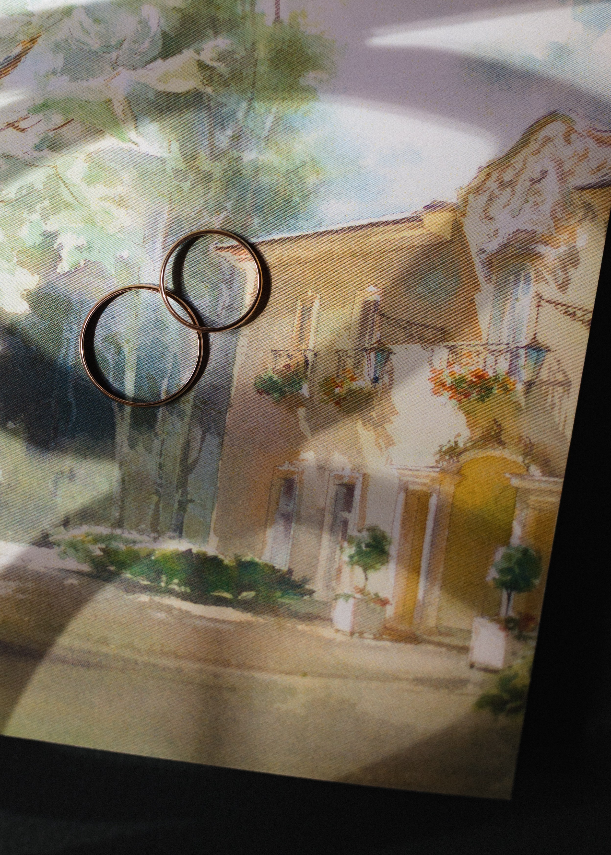 THE TANDEM. Свадебный фотограф Минск