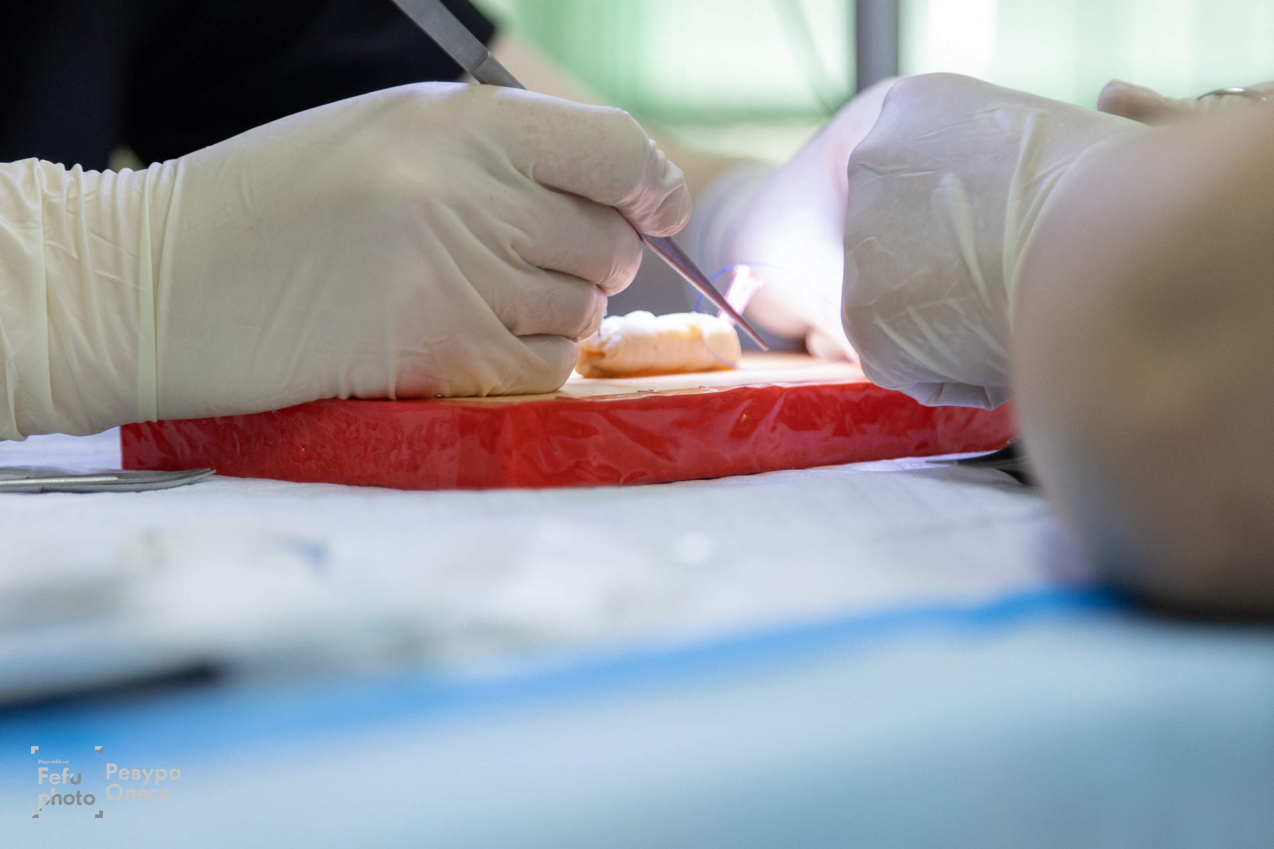 2-я Региональная олимпиада по хирургии. Репортажный и портретный фотограф в Владивостоке