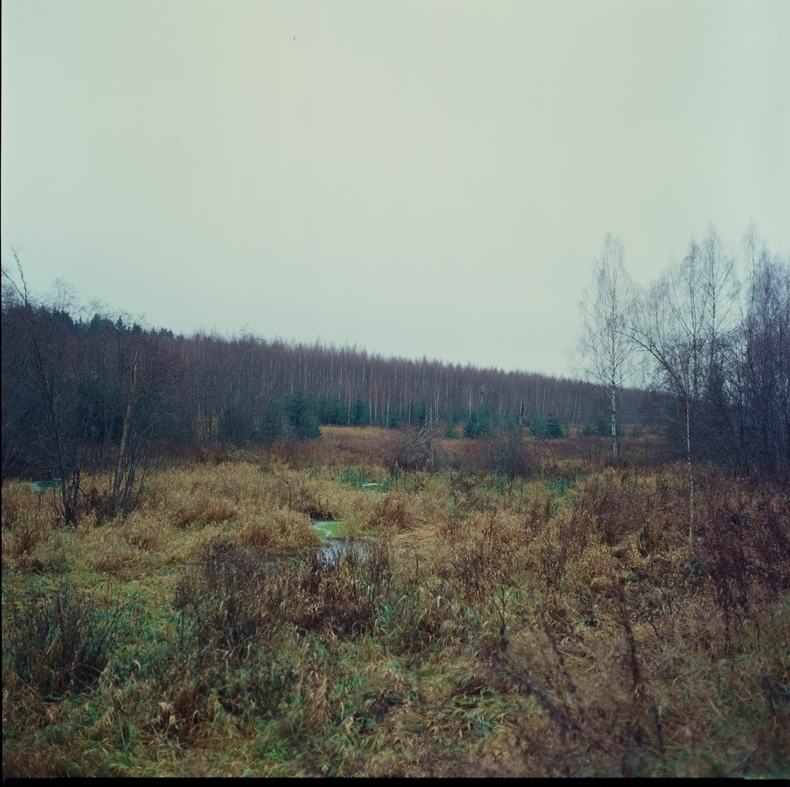 Kowa Super 66 / Kowa 85 mm f2.8 + Kowa 55 mm f3.5 / Kodak Ektachrome E