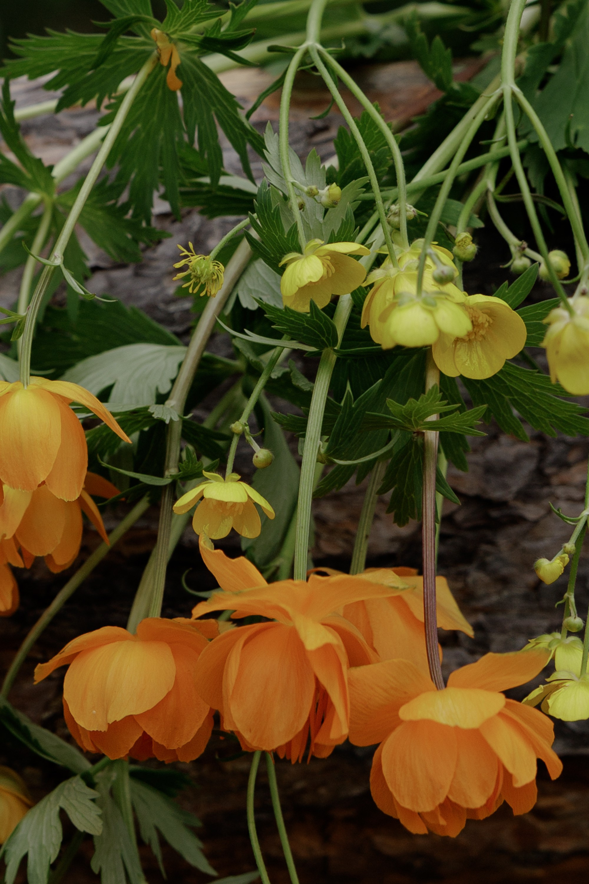 Ты, я и море. Свадебный фотограф