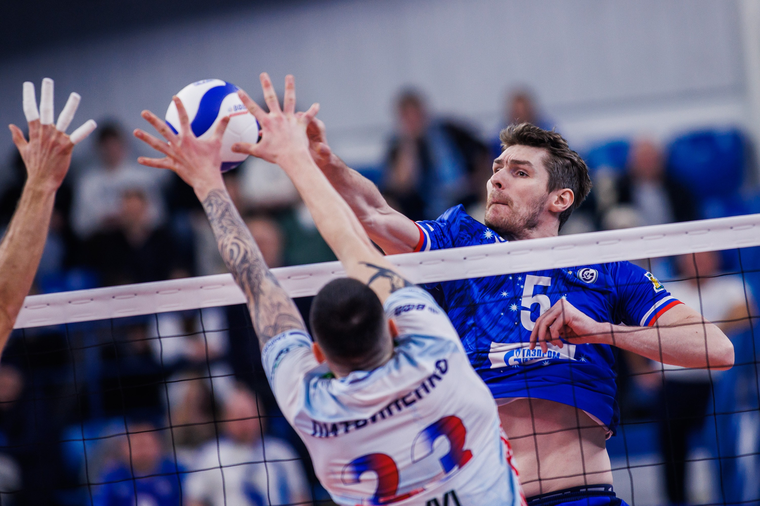 ВК Динамо 2025/26. Photographer Danil Aykin