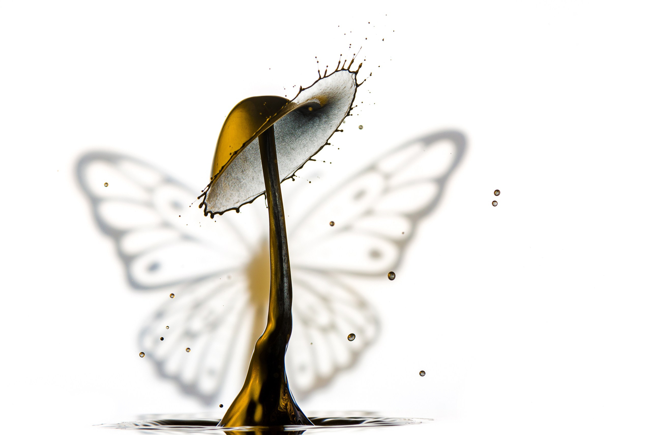 капля в виде бабочки