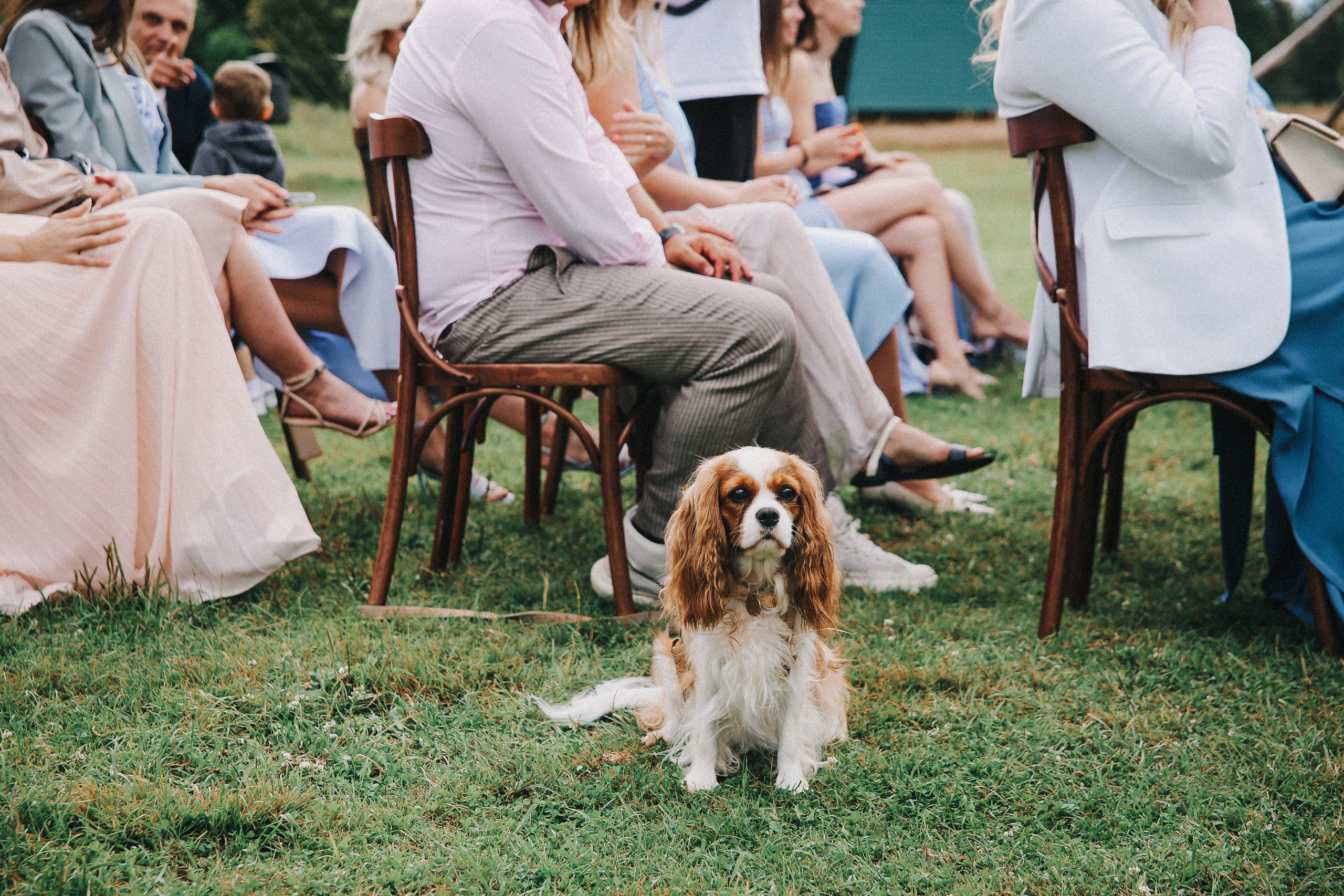 Свадьбы. Фотограф в Серпухове и Тарусе Ксения Царёва