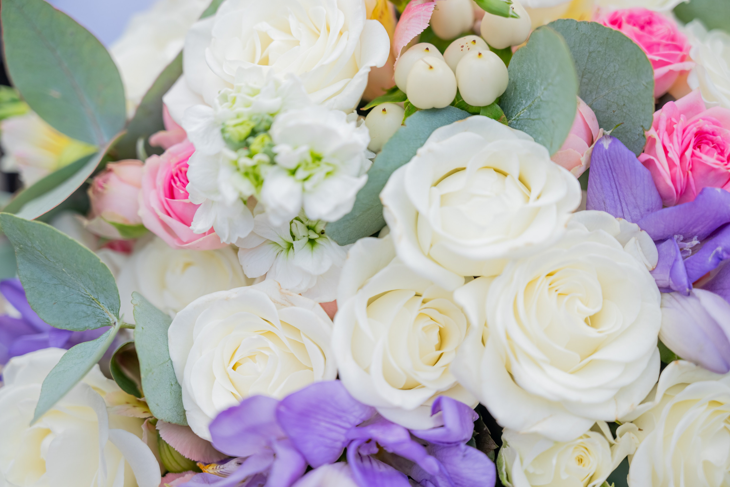 Июль, 2024 — Усадьба Пехра-Яковлевское. Свадебный и семейный фотограф Екатерина Пушан. Москва, Балашиха, Железнодорожный, Солнечногорск