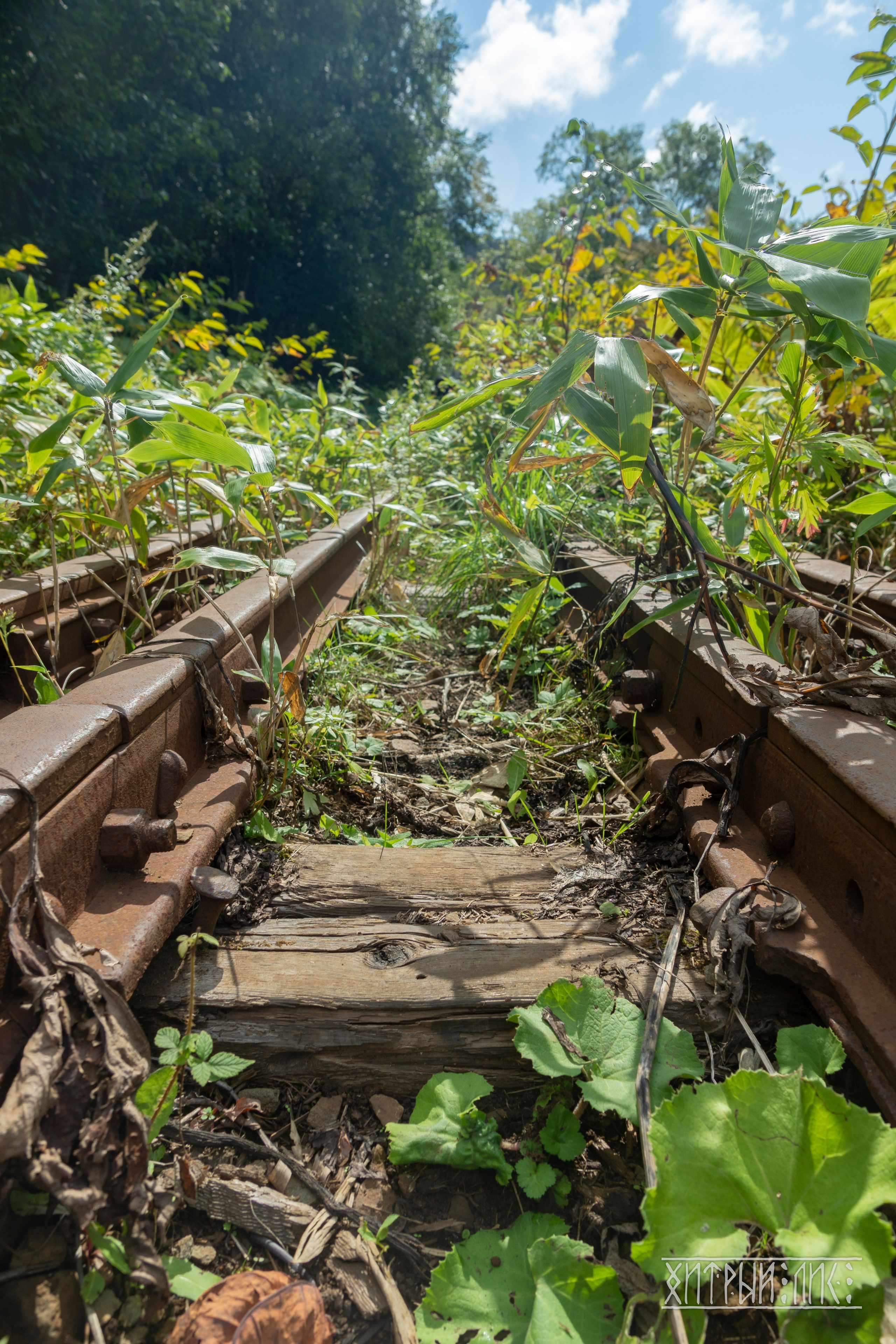 Сахалин. Фотограф-путешественник Самойлов Максим «Sly Fox»