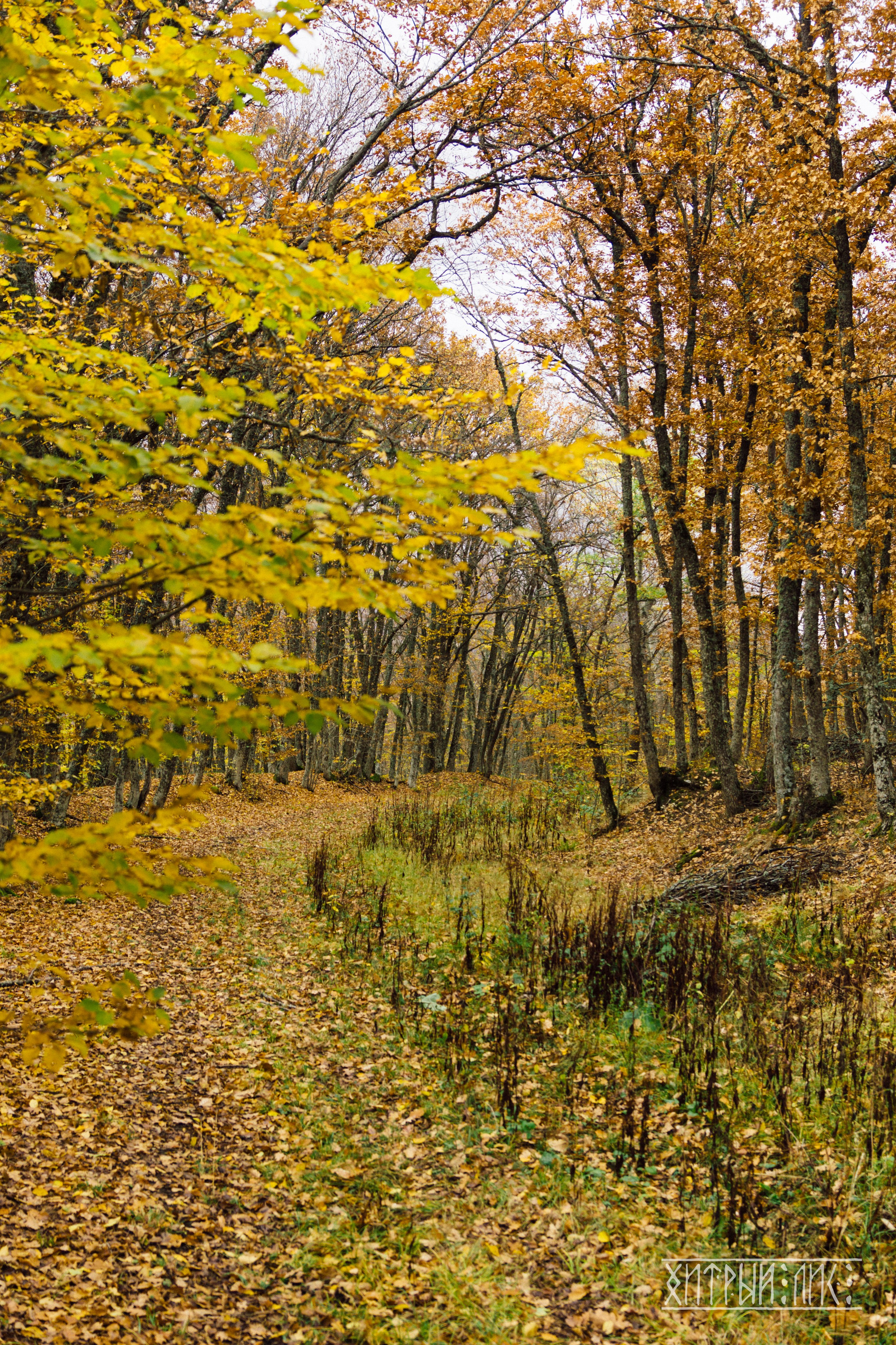 Крым. Фотограф-путешественник Самойлов Максим «Sly Fox»