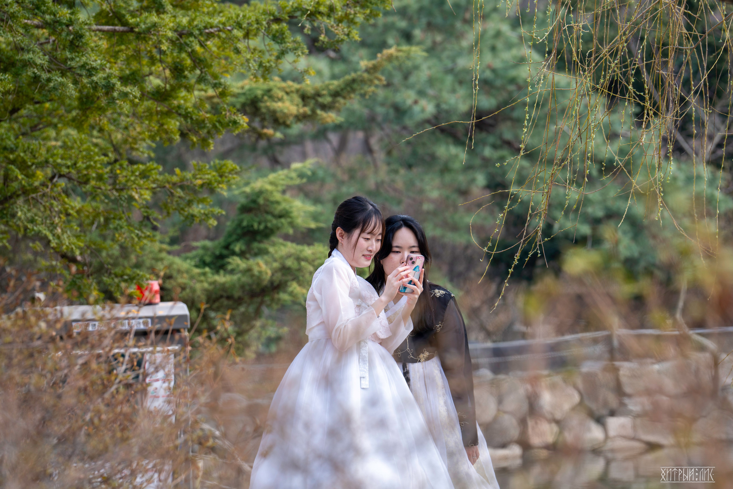 Южная Корея. Фотограф-путешественник Самойлов Максим «Sly Fox»