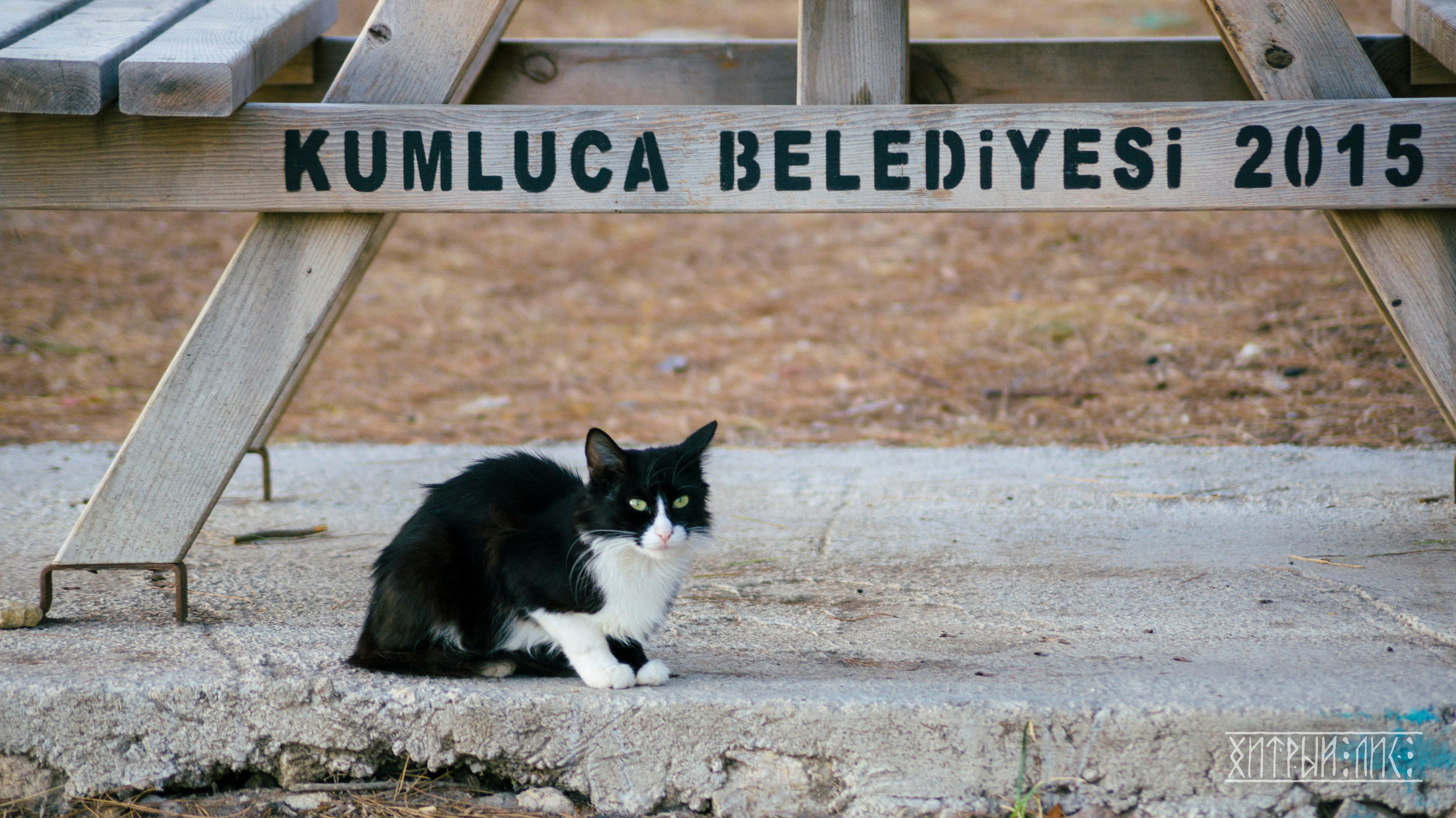 Турция. Ликийский путь. Фотограф-путешественник Самойлов Максим «Sly Fox»