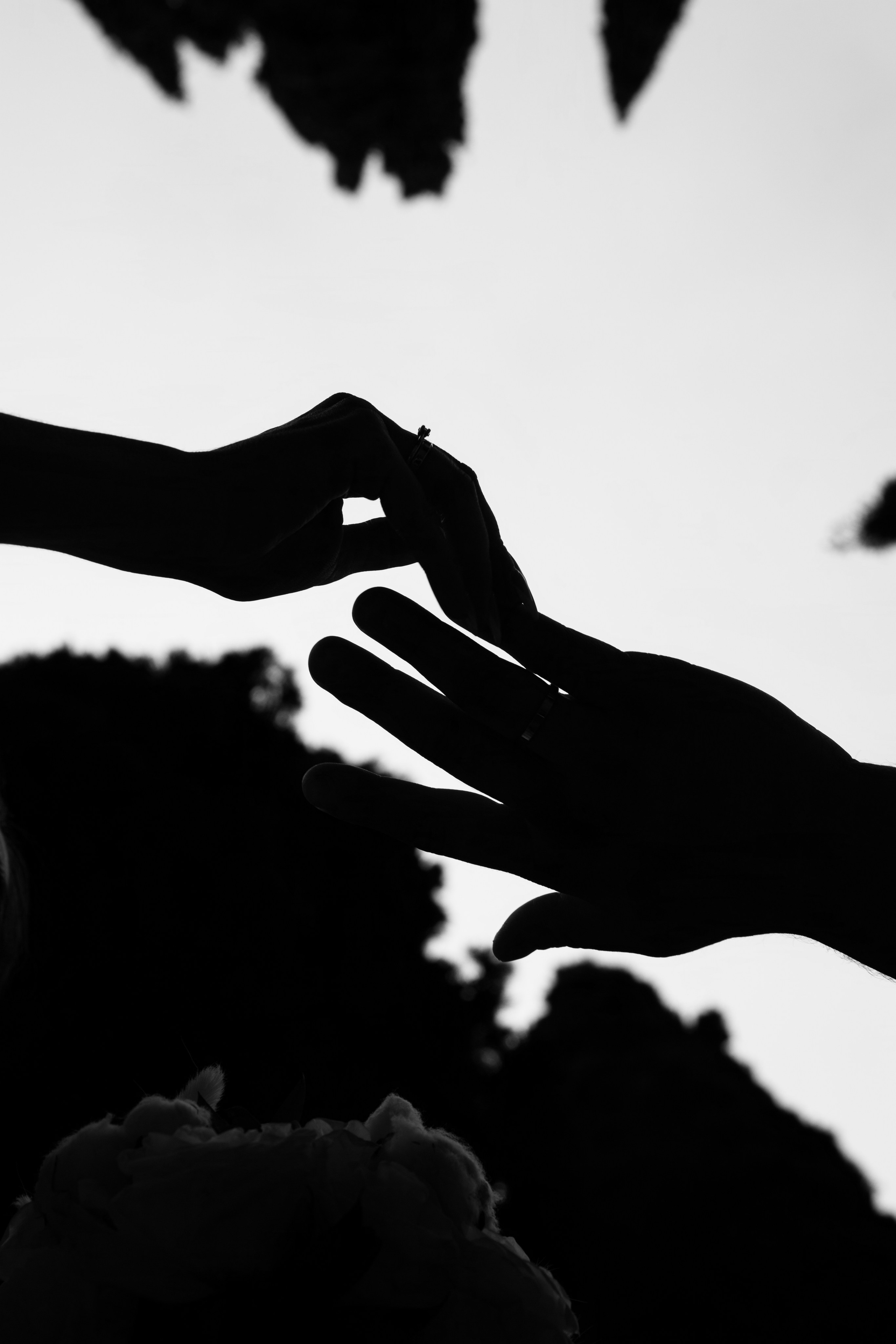 Свадебная фотосессия в ботаническом саду Тбилиси. Свадебный фотограф Грузия Тбилиси