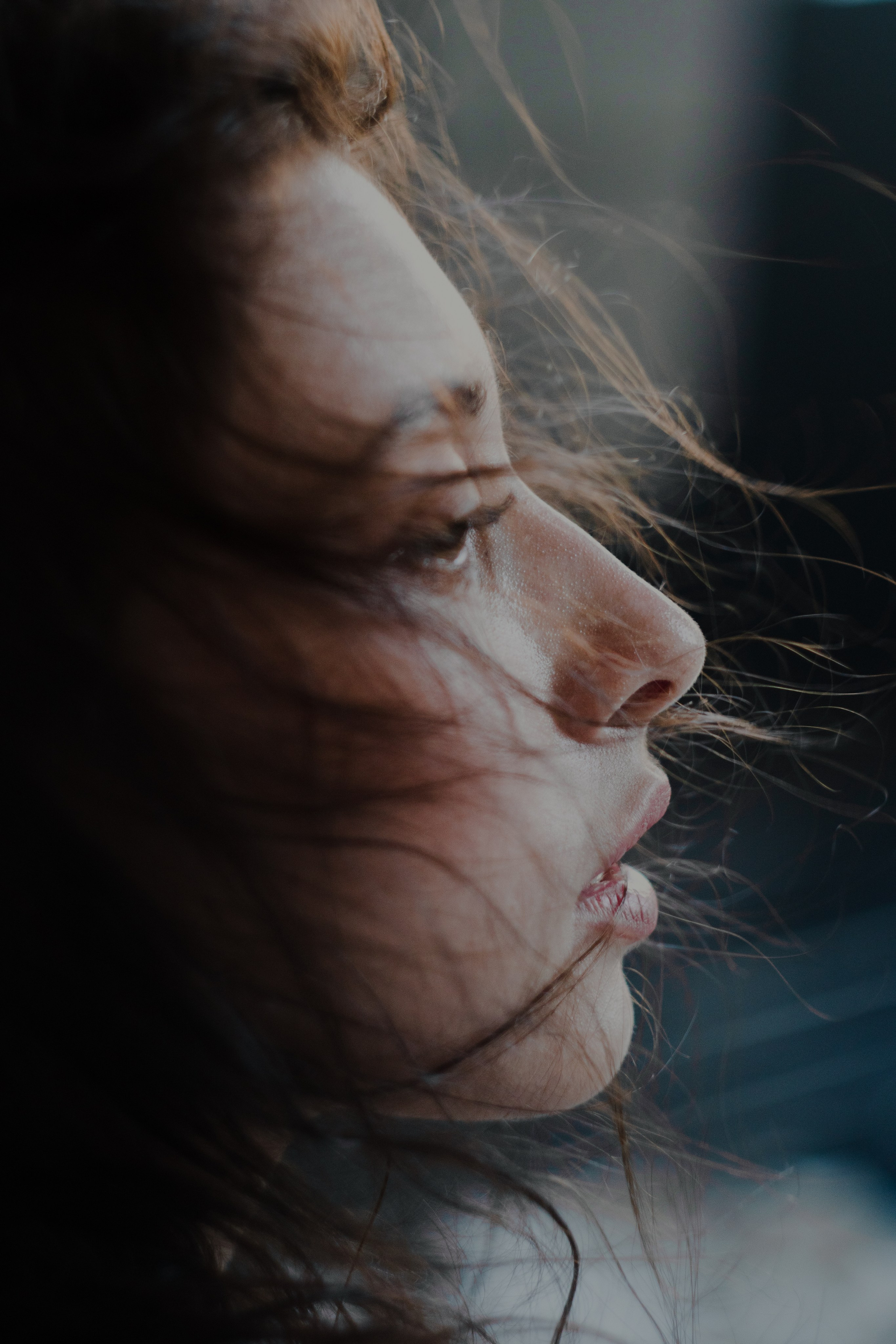 POLINA. MAX TIHANKOV