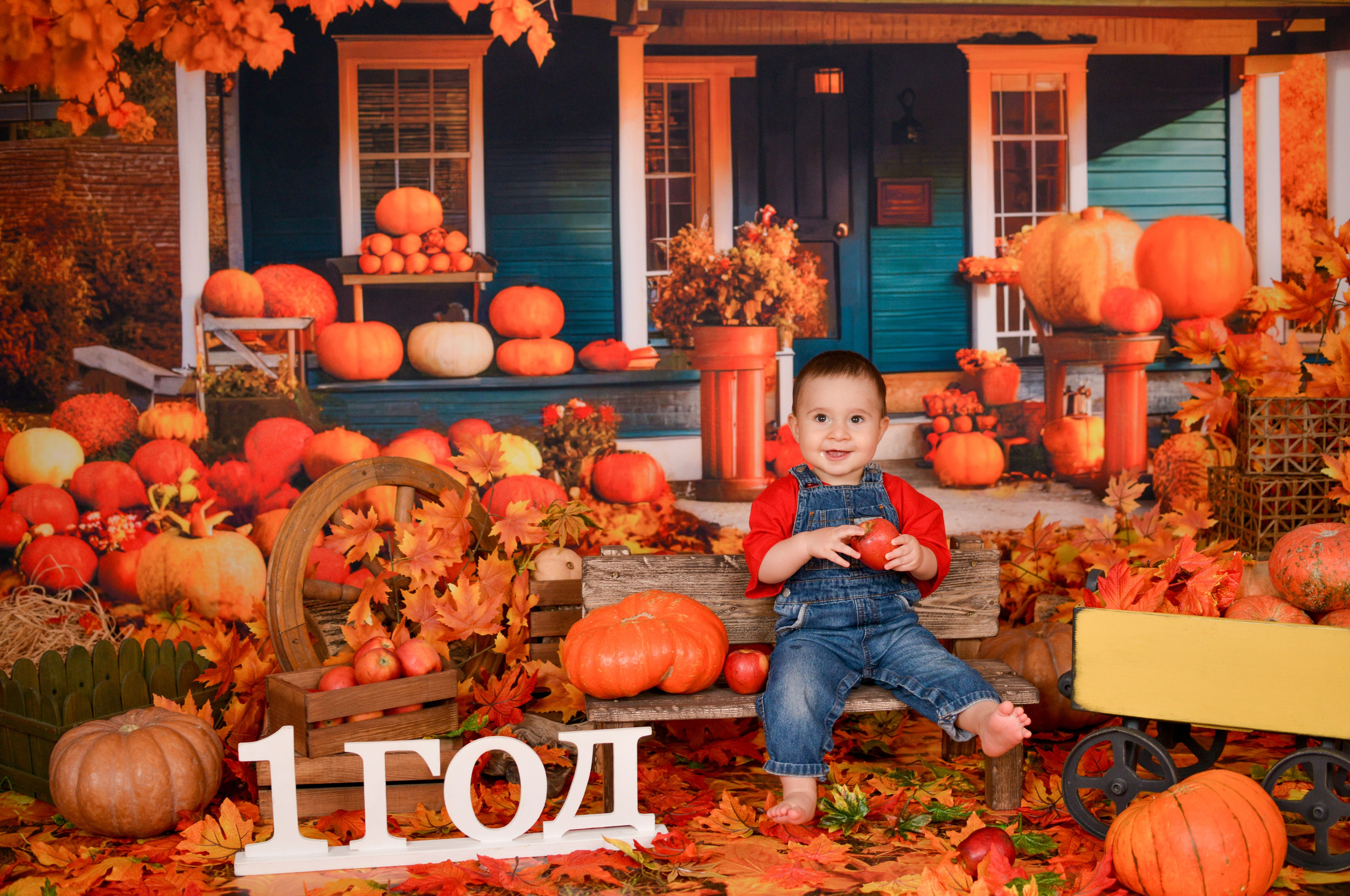 Леону 1 годик. Фотограф новорожденных Краснодар Малышенко Надежда