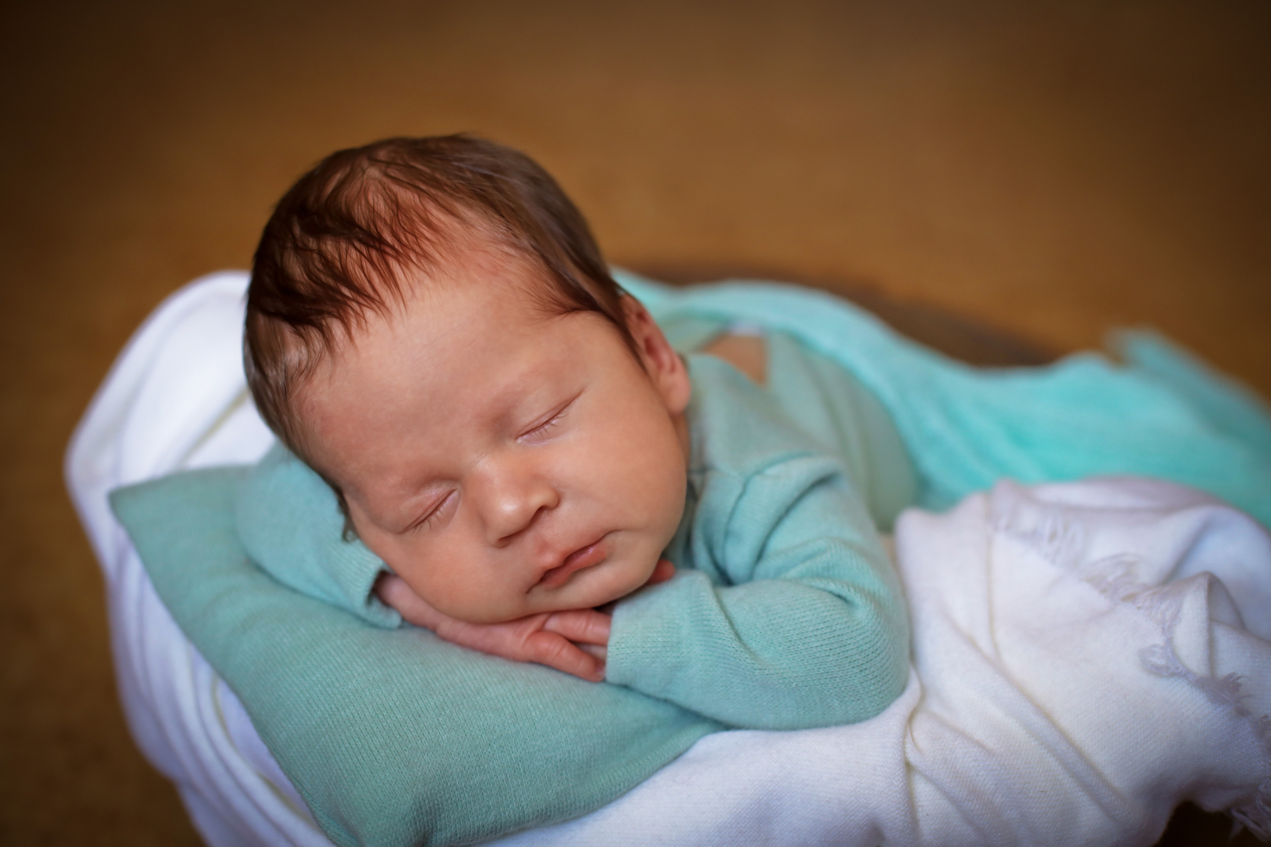Егор 21 день. Семейный фотограф и фотограф новорожденных в Санкт-Петербурге Алина Фе