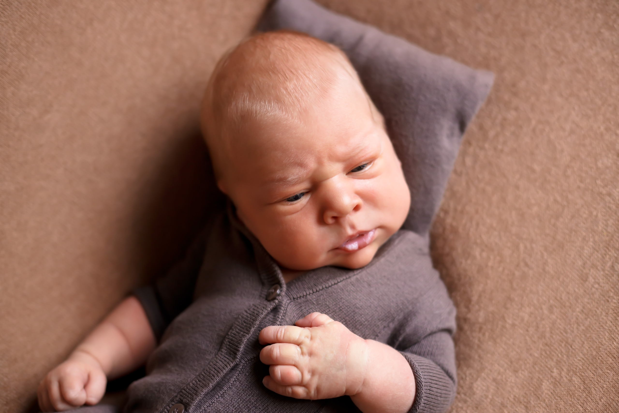 Савелий 10 дней. Семейный фотограф и фотограф новорожденных в Санкт-Петербурге Алина Фе