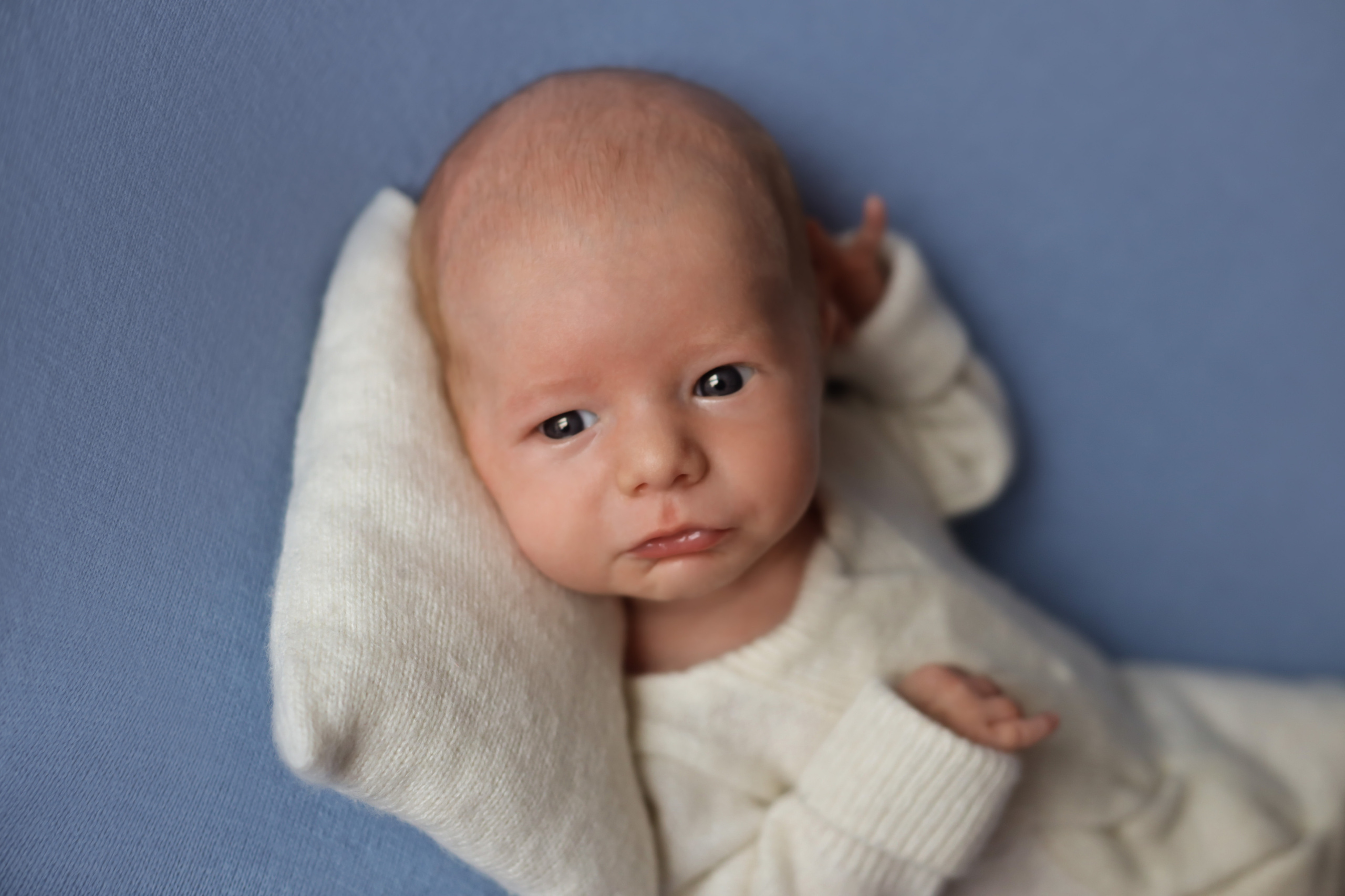 Матвей 18 дней. Семейный фотограф и фотограф новорожденных в Санкт-Петербурге Алина Фе