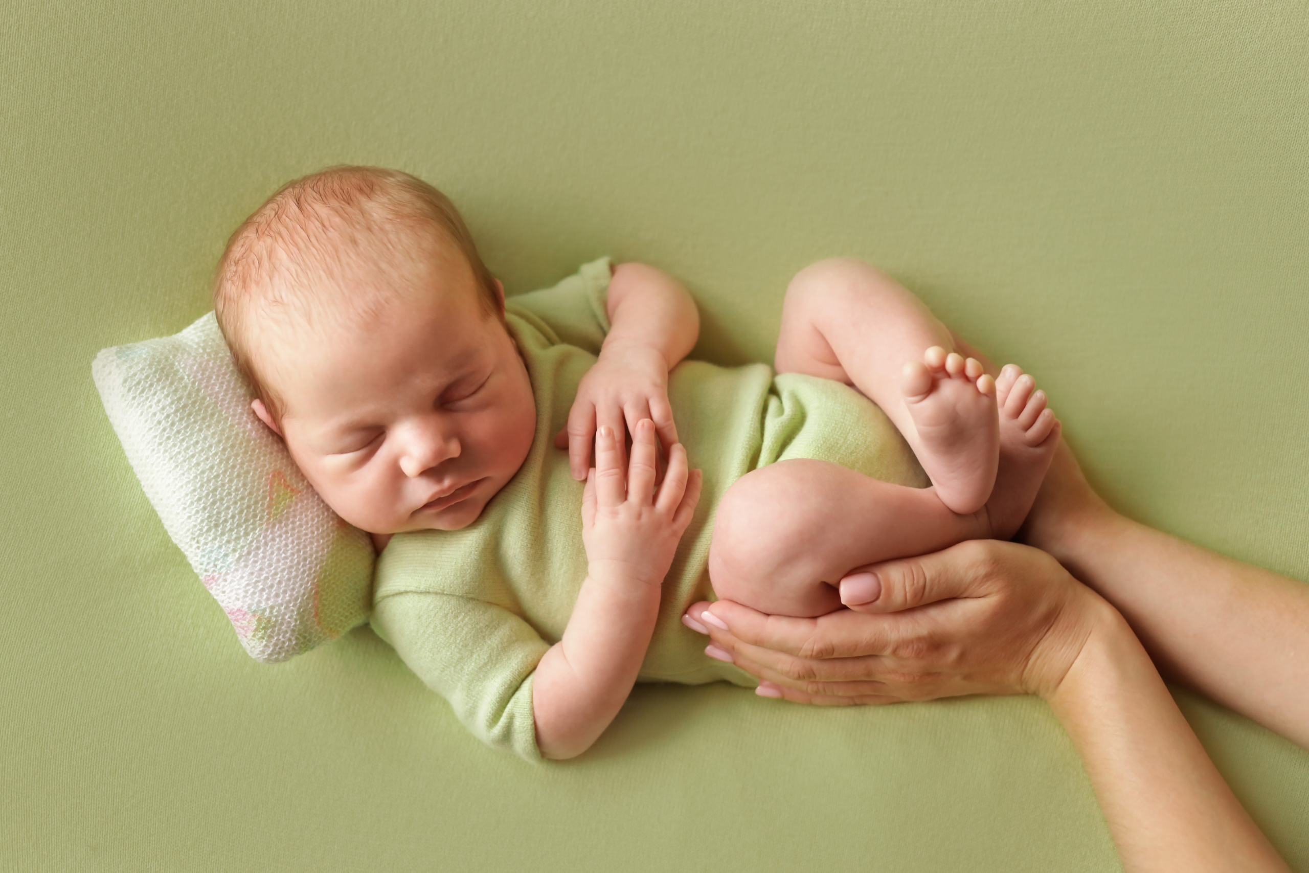 Вероника 16 дней. Семейный фотограф и фотограф новорожденных в Санкт-Петербурге Алина Фе