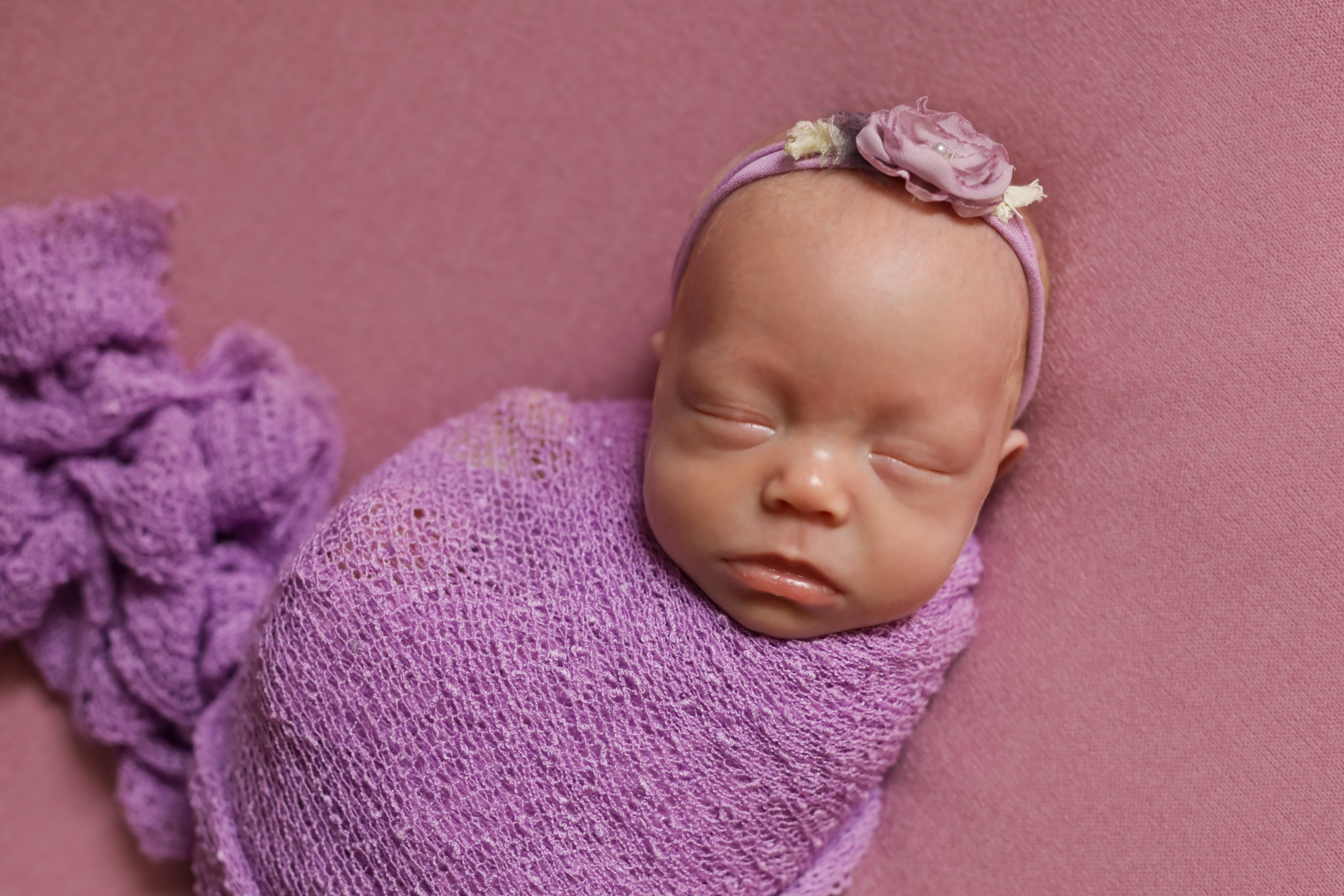 Элина и Арина 1,5 месяца. Семейный фотограф и фотограф новорожденных в Санкт-Петербурге Алина Фе