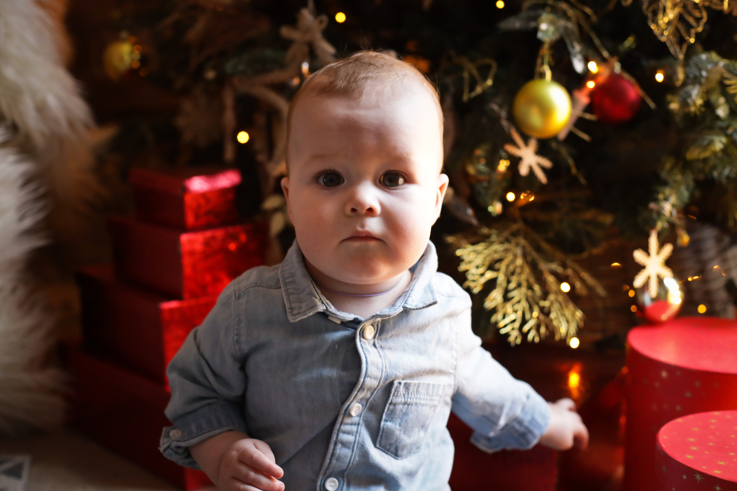 Семья Натальи. Семейный фотограф и фотограф новорожденных в Санкт-Петербурге Алина Фе