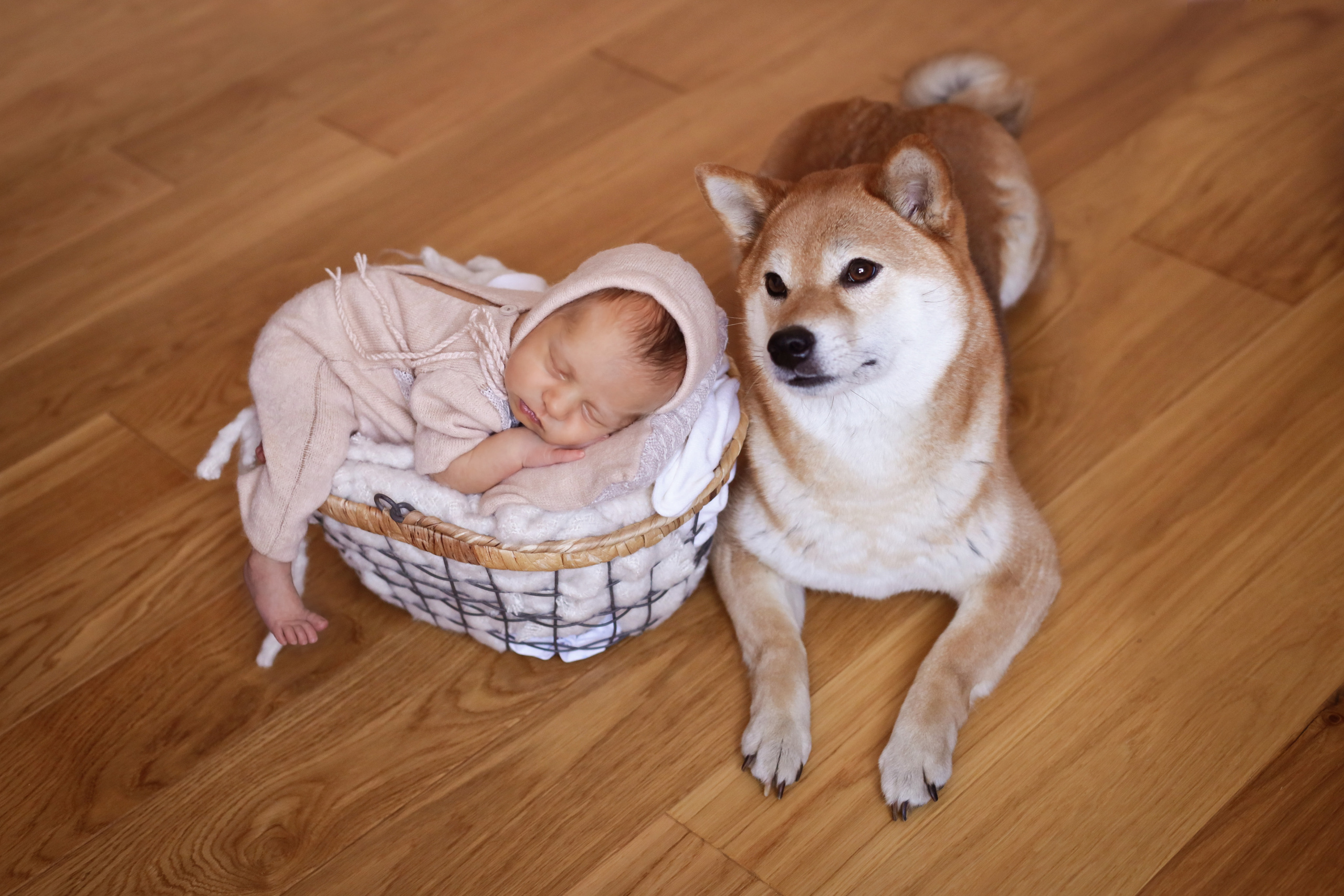 Семейный фотограф и фотограф новорожденных в Санкт-Петербурге Алина Фе