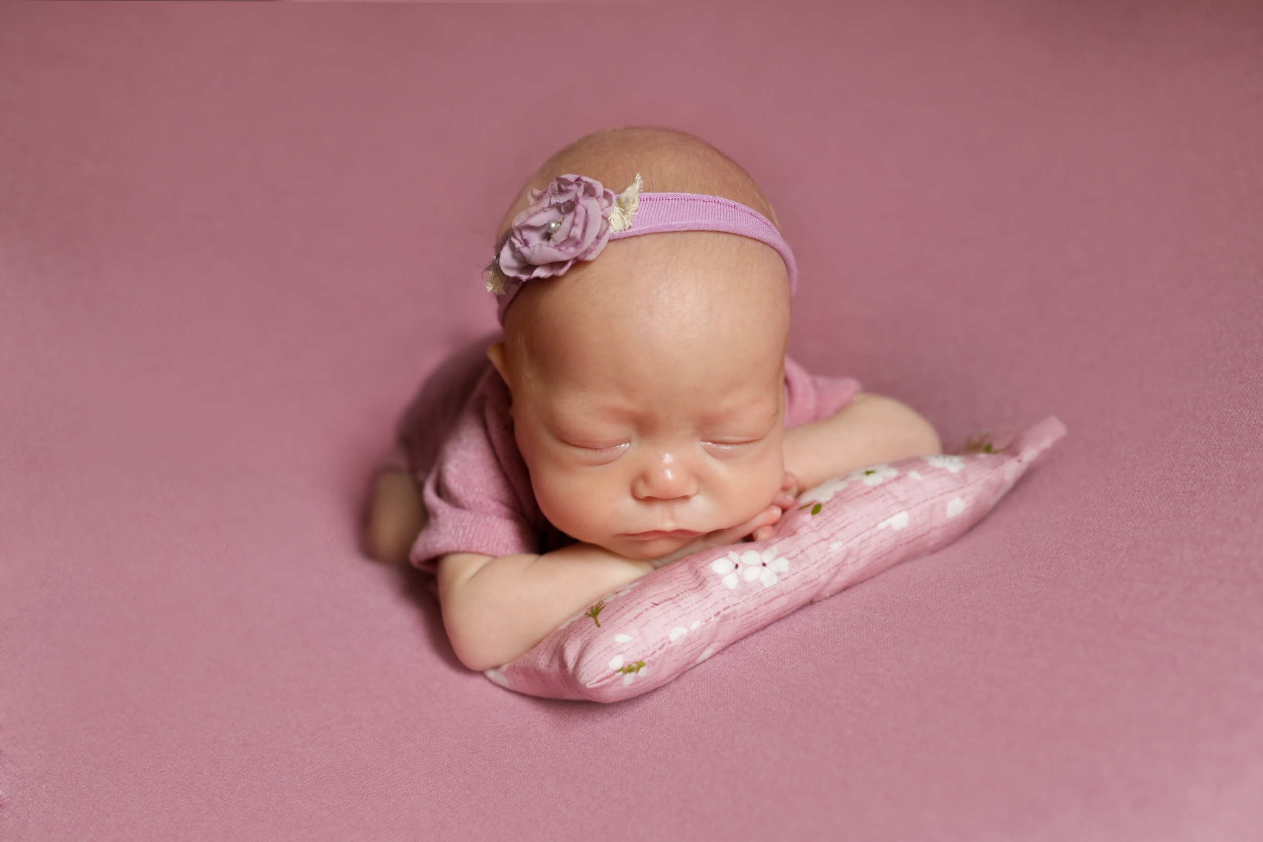 Элина и Арина 1,5 месяца. Семейный фотограф и фотограф новорожденных в Санкт-Петербурге Алина Фе