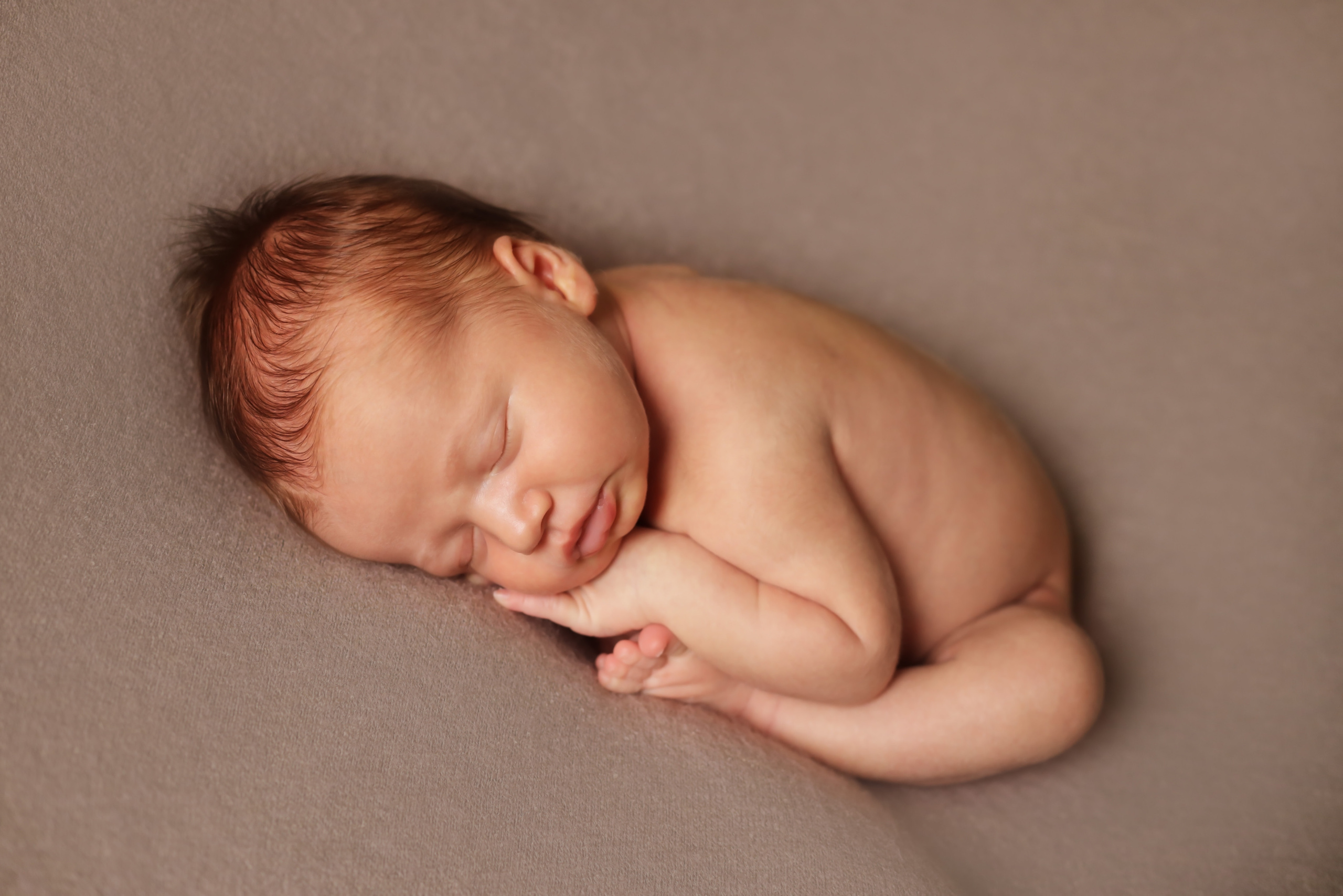 Денис 16 дней. Семейный фотограф и фотограф новорожденных в Санкт-Петербурге Алина Фе