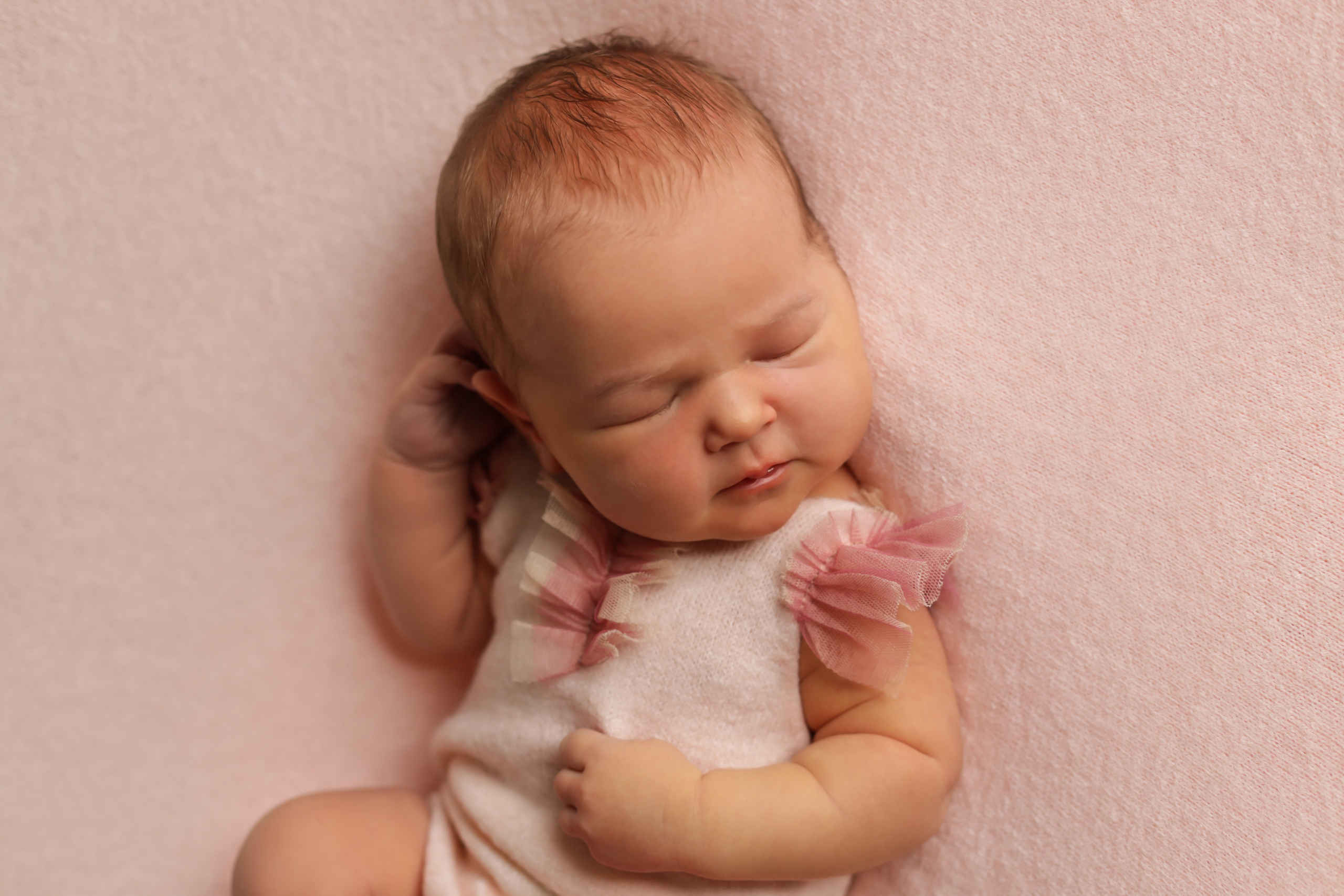 Арина 5 дней. Семейный фотограф и фотограф новорожденных в Санкт-Петербурге Алина Фе