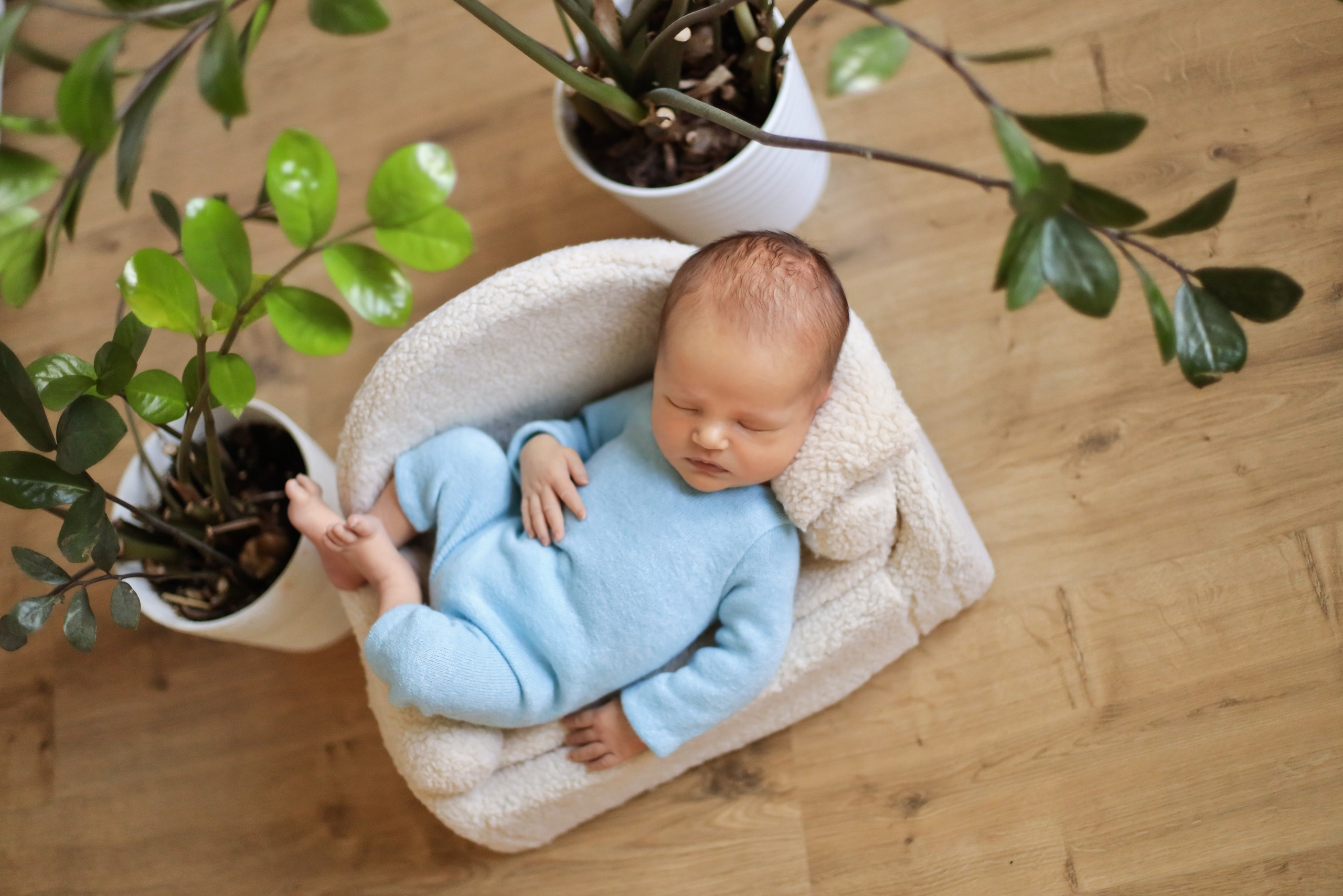 Семейный фотограф и фотограф новорожденных в Санкт-Петербурге Алина Фе