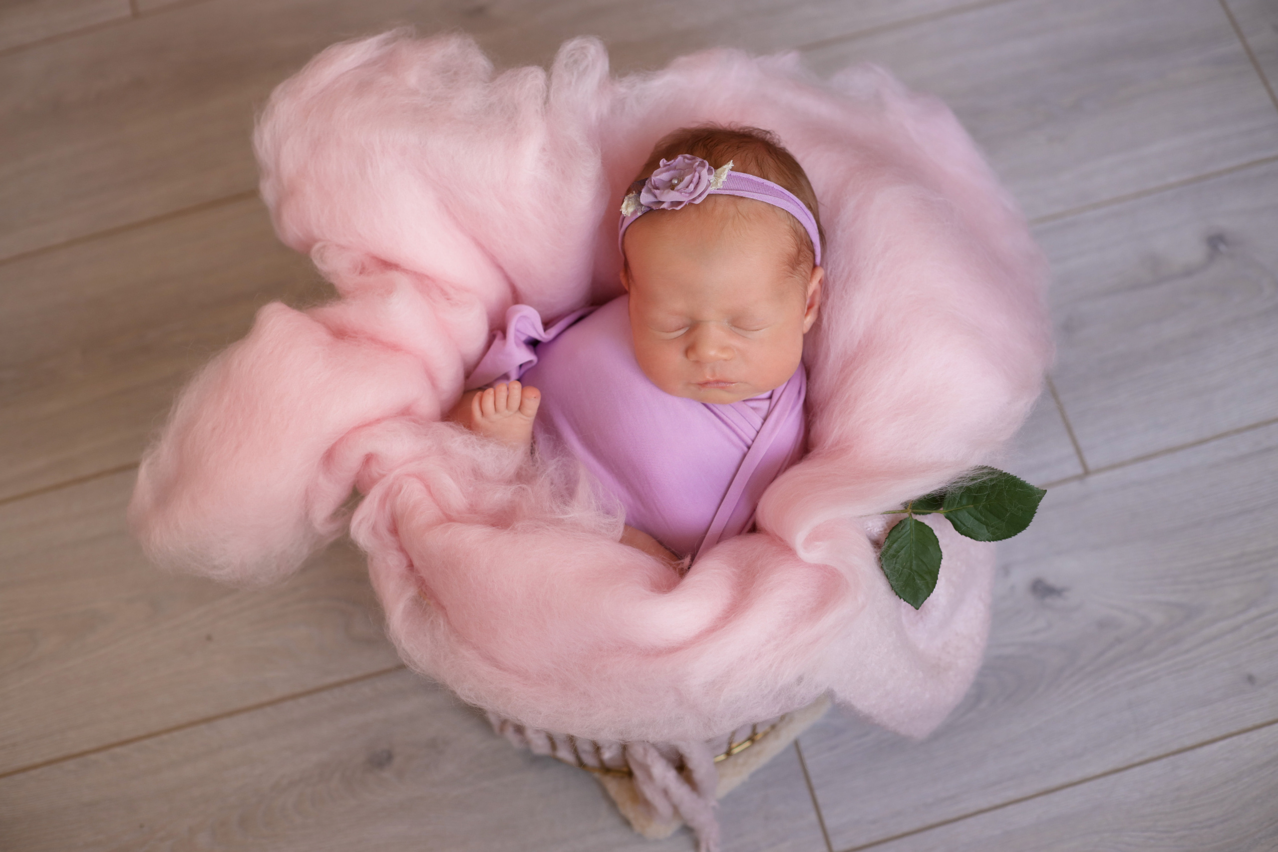 Елизавета 14 дней. Семейный фотограф и фотограф новорожденных в Санкт-Петербурге Алина Фе
