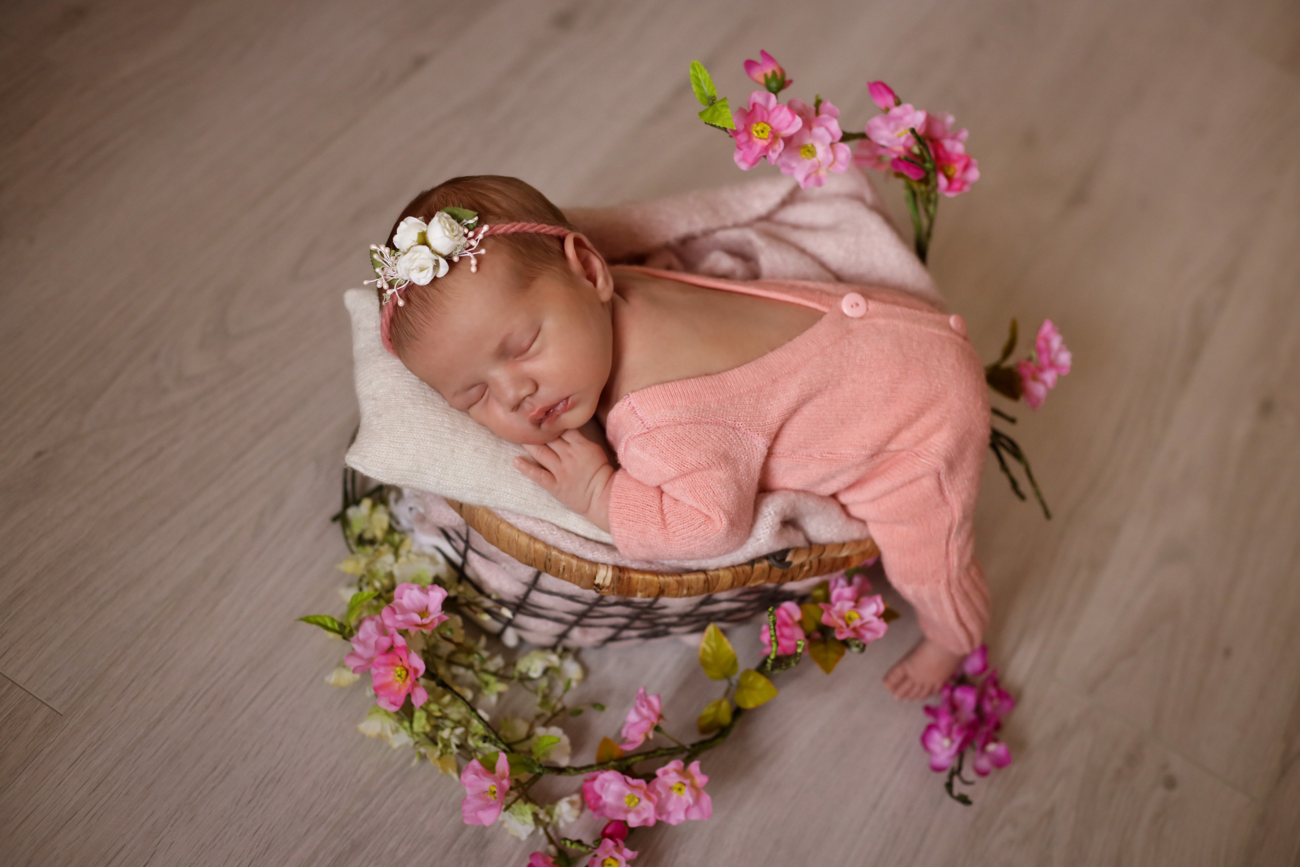 Вероника 16 дней. Семейный фотограф и фотограф новорожденных в Санкт-Петербурге Алина Фе