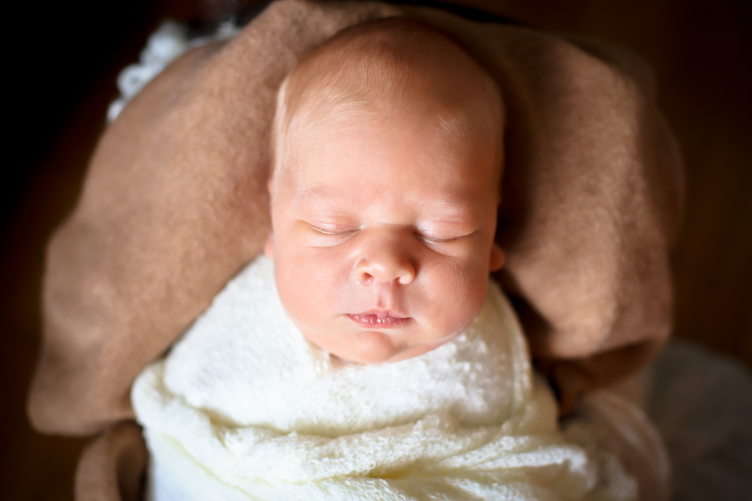 Савелий 10 дней. Семейный фотограф и фотограф новорожденных в Санкт-Петербурге Алина Фе