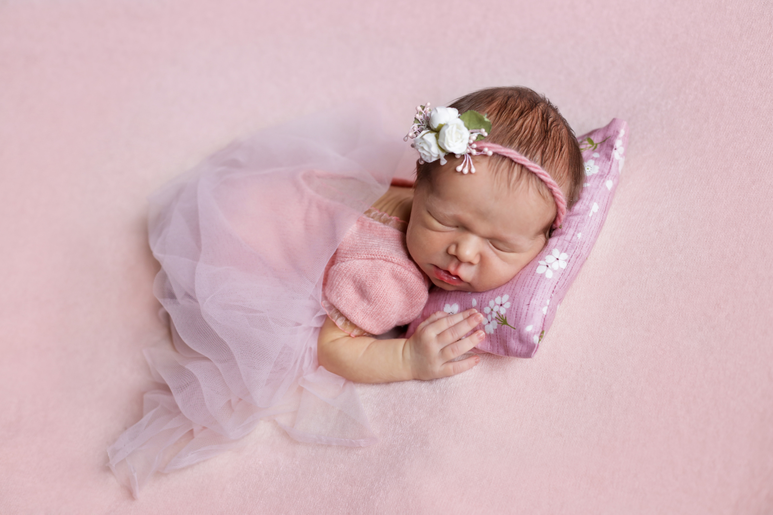 Мила 6 дней. Семейный фотограф и фотограф новорожденных в Санкт-Петербурге Алина Фе