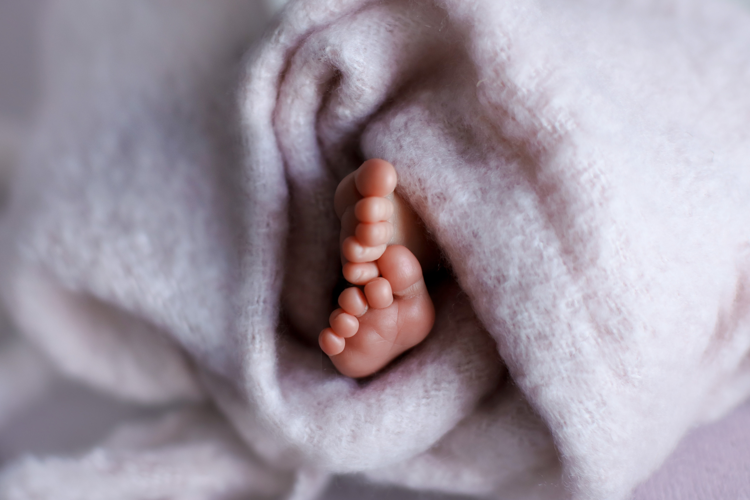 София и Марк 18 дней. Семейный фотограф и фотограф новорожденных в Санкт-Петербурге Алина Фе