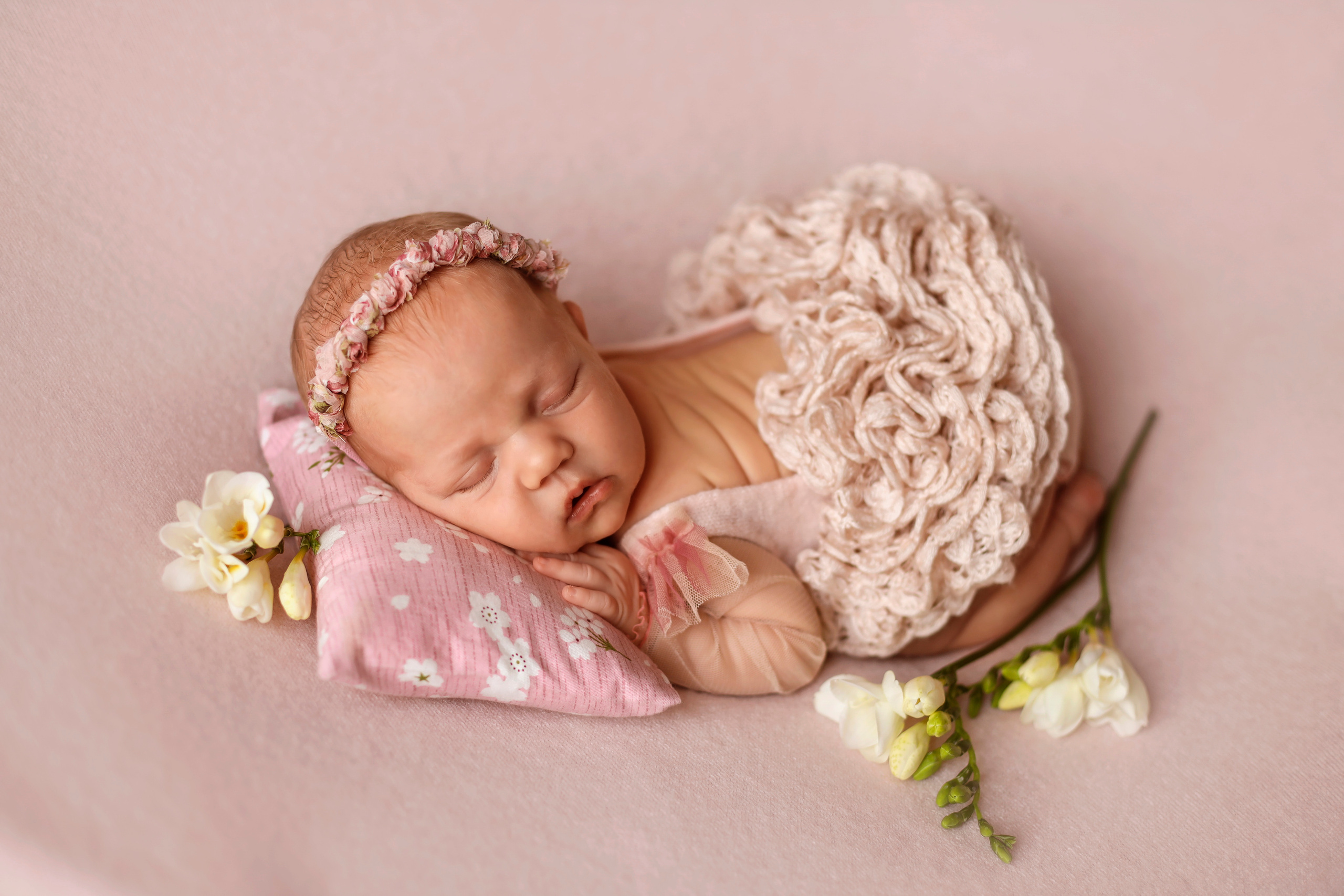 Семейный фотограф и фотограф новорожденных в Санкт-Петербурге Алина Фе