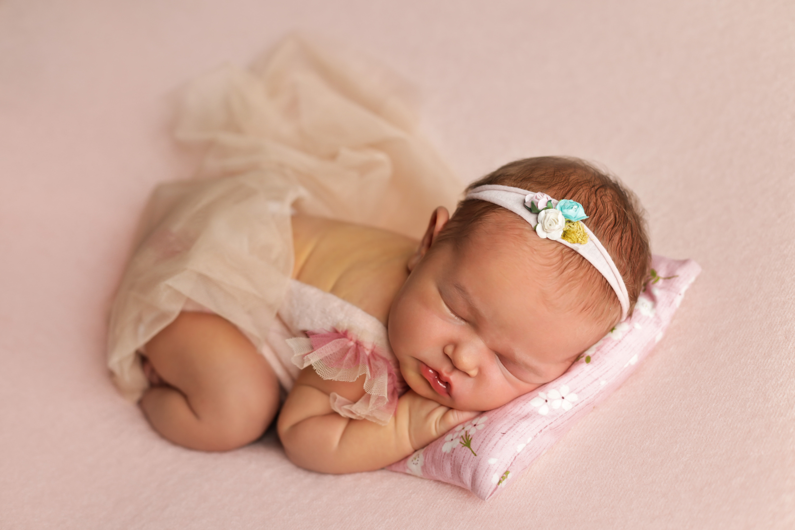 Арина 5 дней. Семейный фотограф и фотограф новорожденных в Санкт-Петербурге Алина Фе