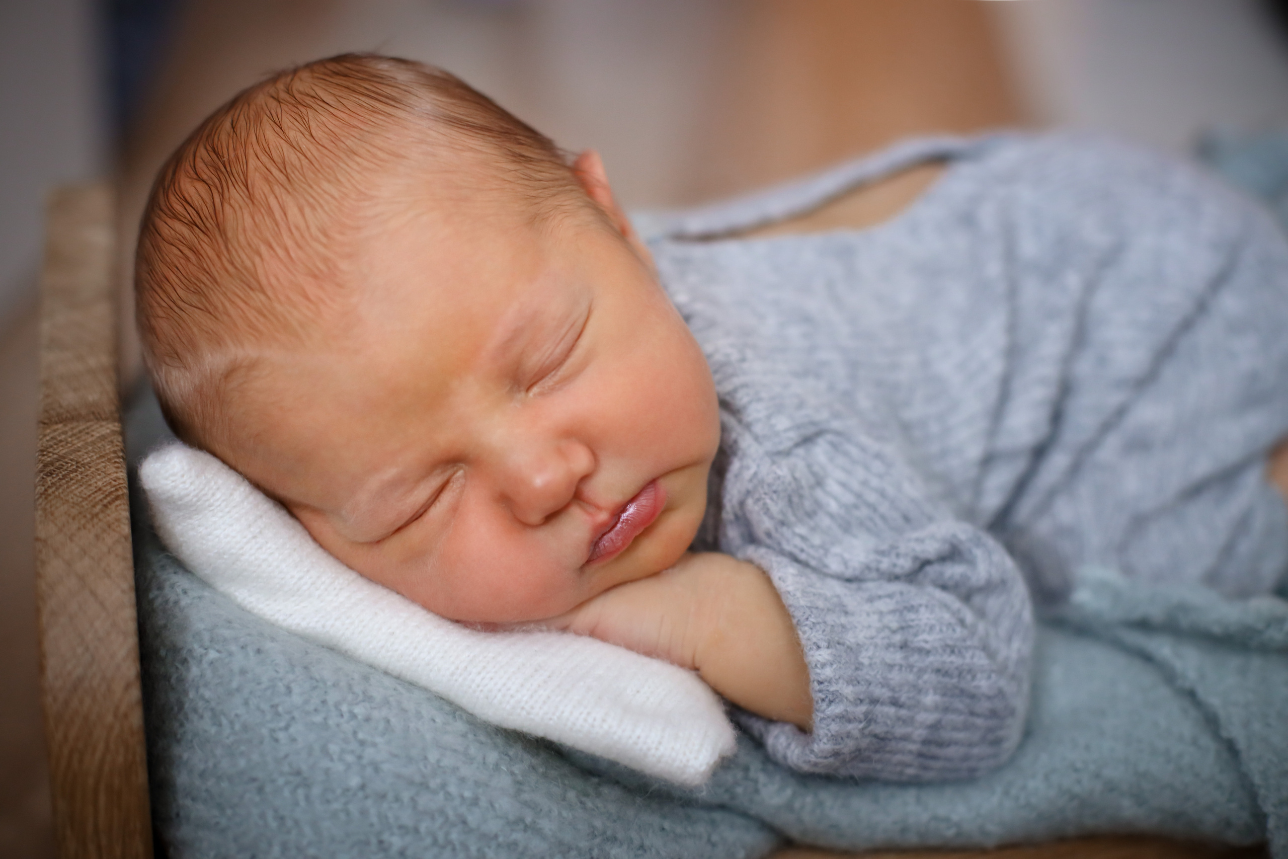 Артем 9 дней. Семейный фотограф и фотограф новорожденных в Санкт-Петербурге Алина Фе