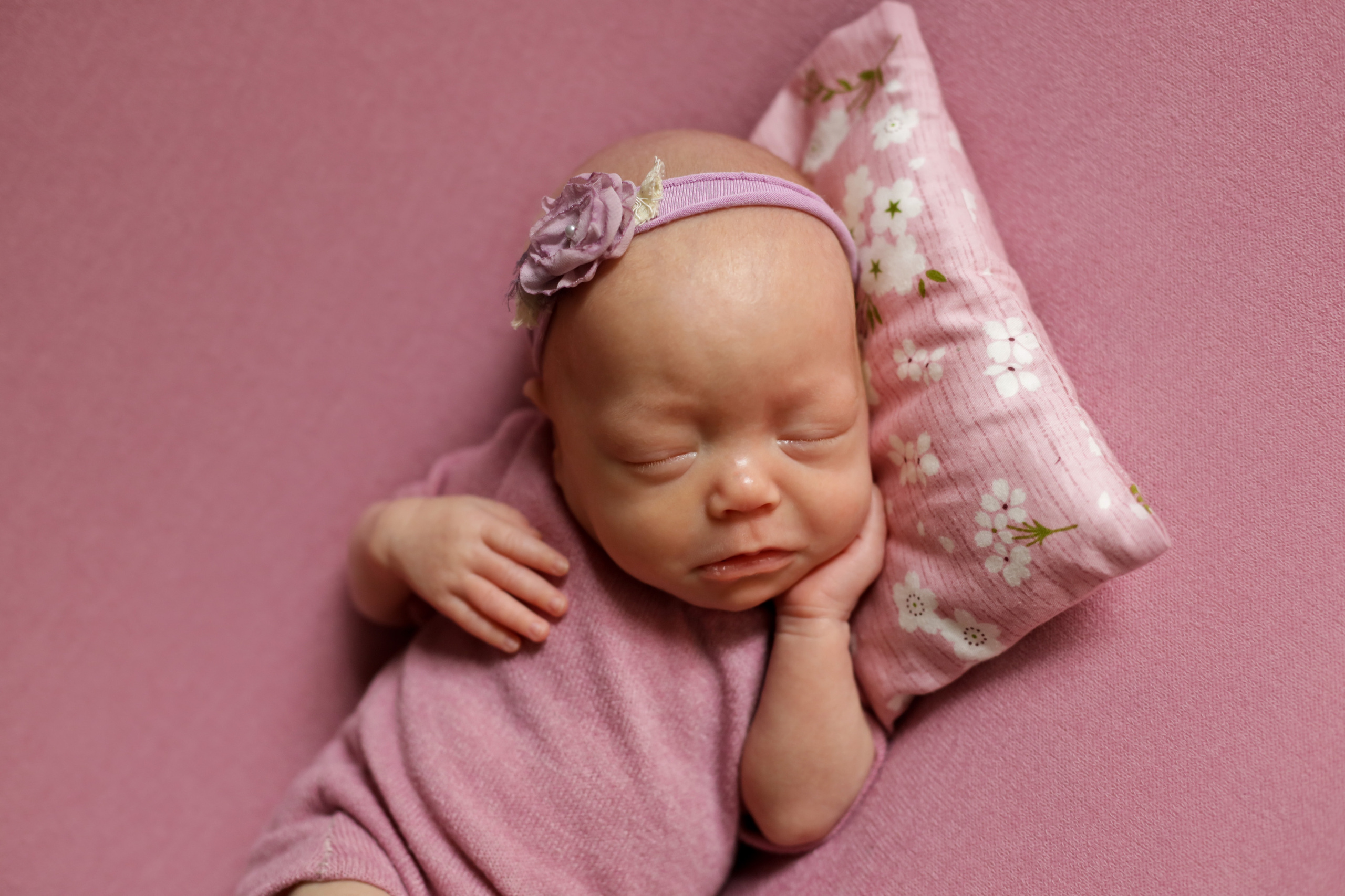 Элина и Арина 1,5 месяца. Семейный фотограф и фотограф новорожденных в Санкт-Петербурге Алина Фе