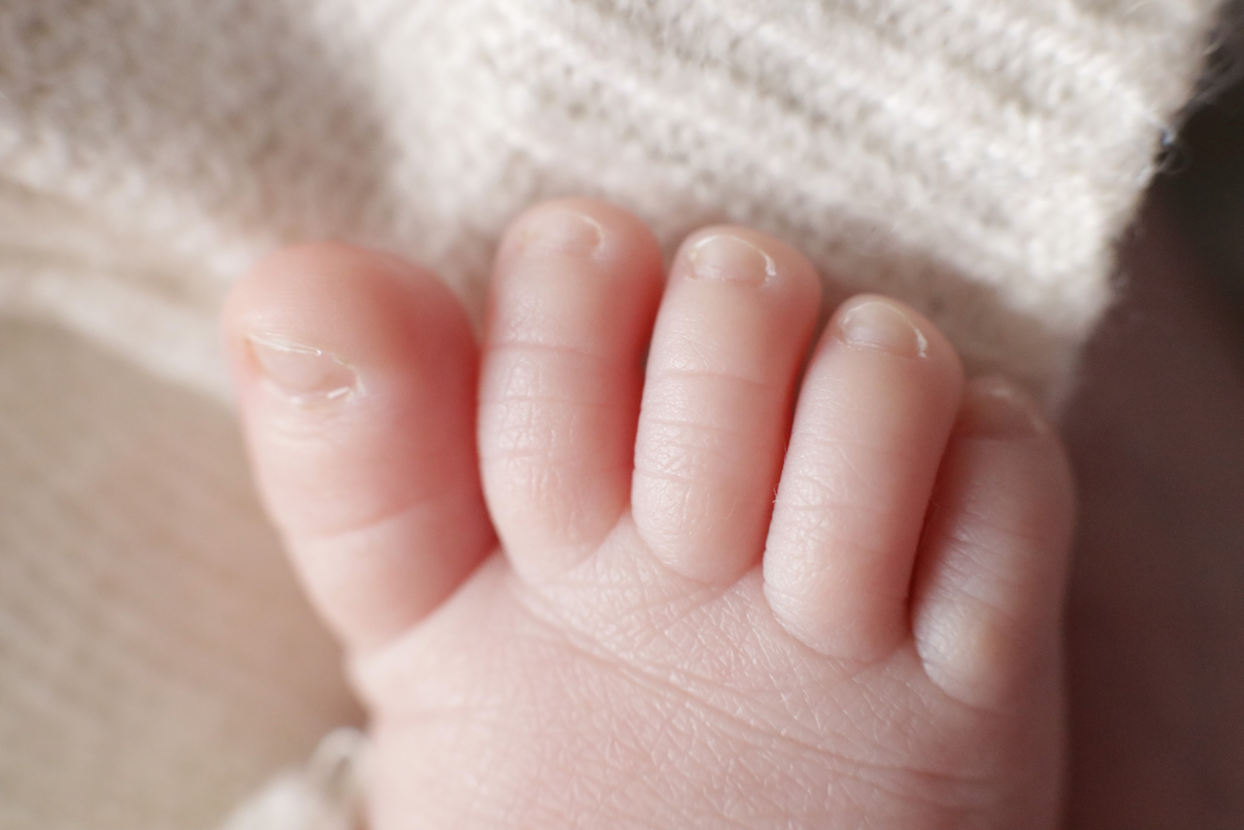 Матвей 18 дней. Семейный фотограф и фотограф новорожденных в Санкт-Петербурге Алина Фе