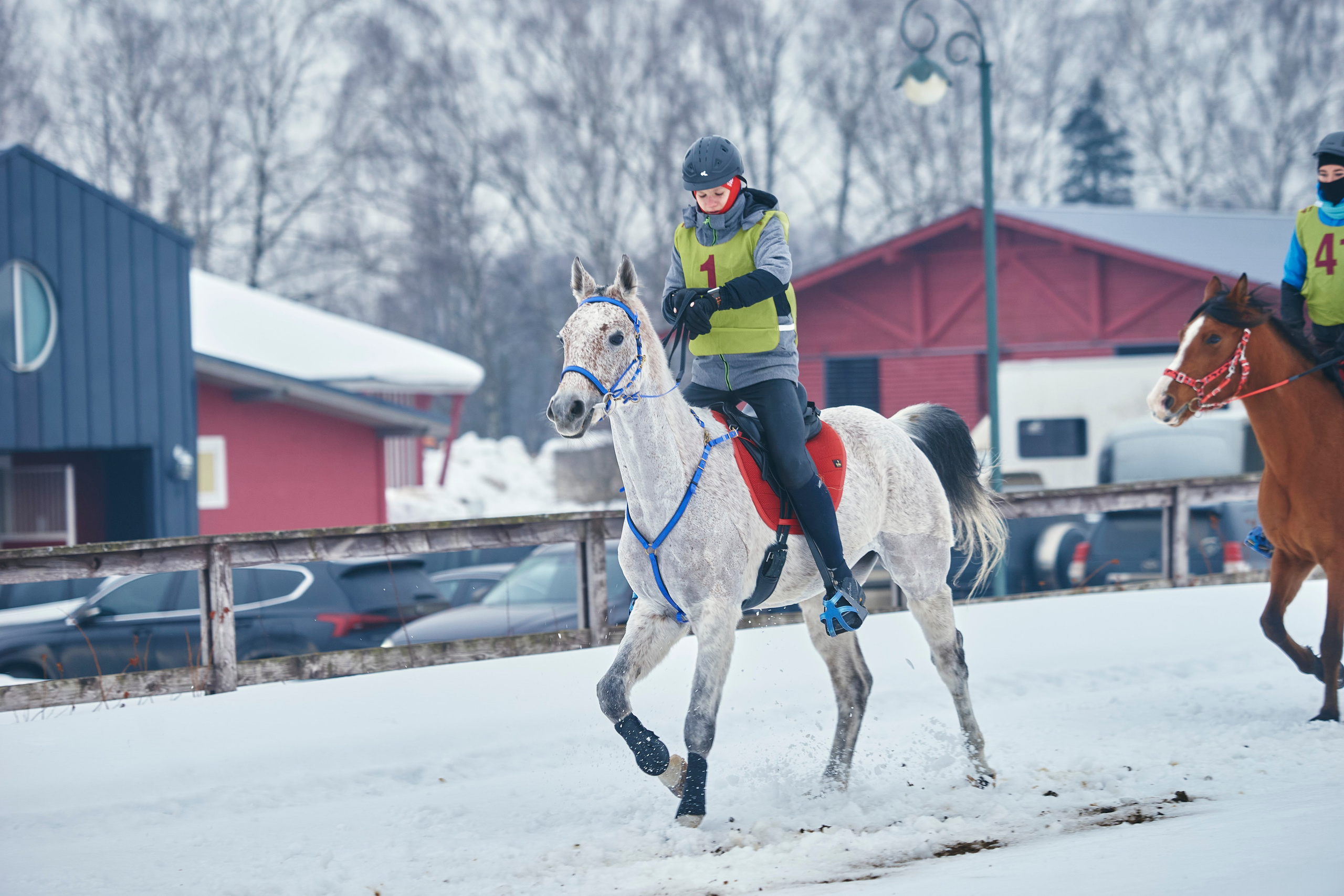 HORSE RACING. Фотограф Наталья Леонова