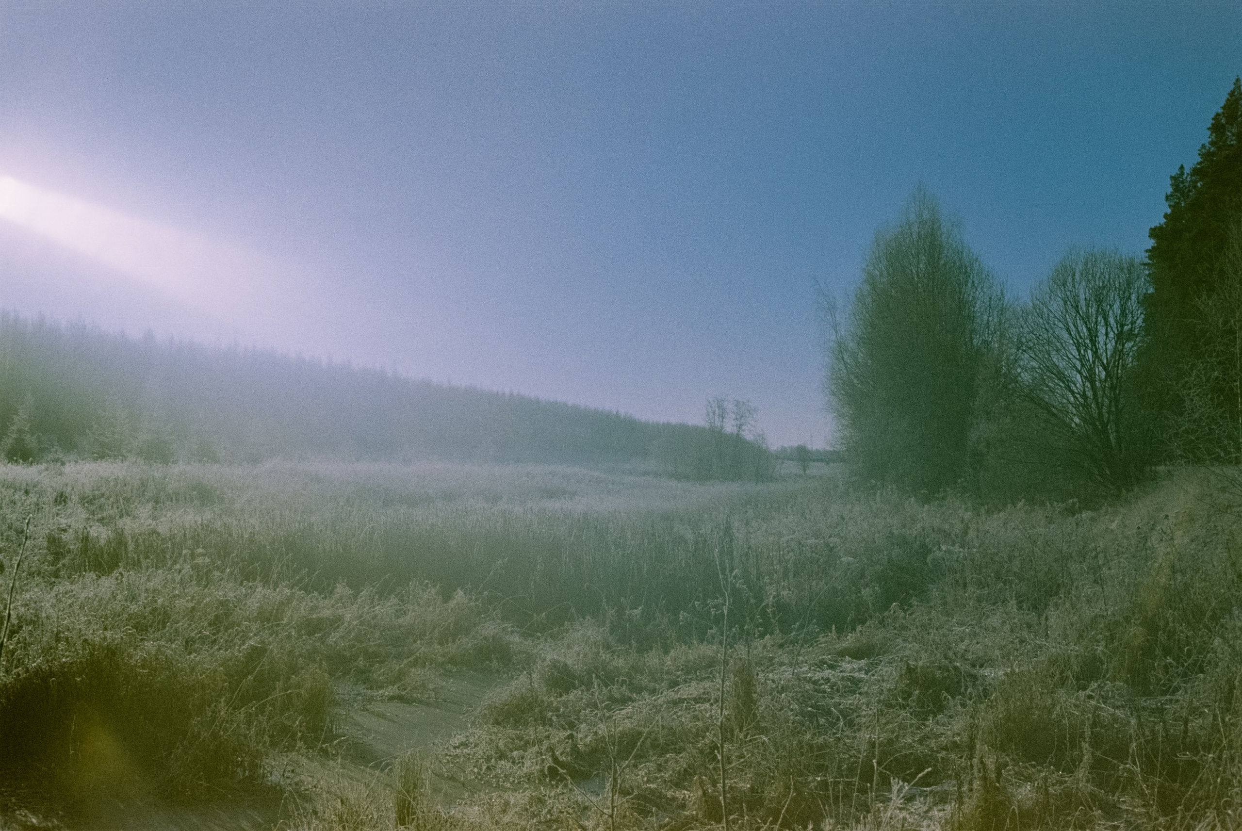 Minolta Hi-Matic 7sII / Kodak Color 200 (просрочка) / Лукино