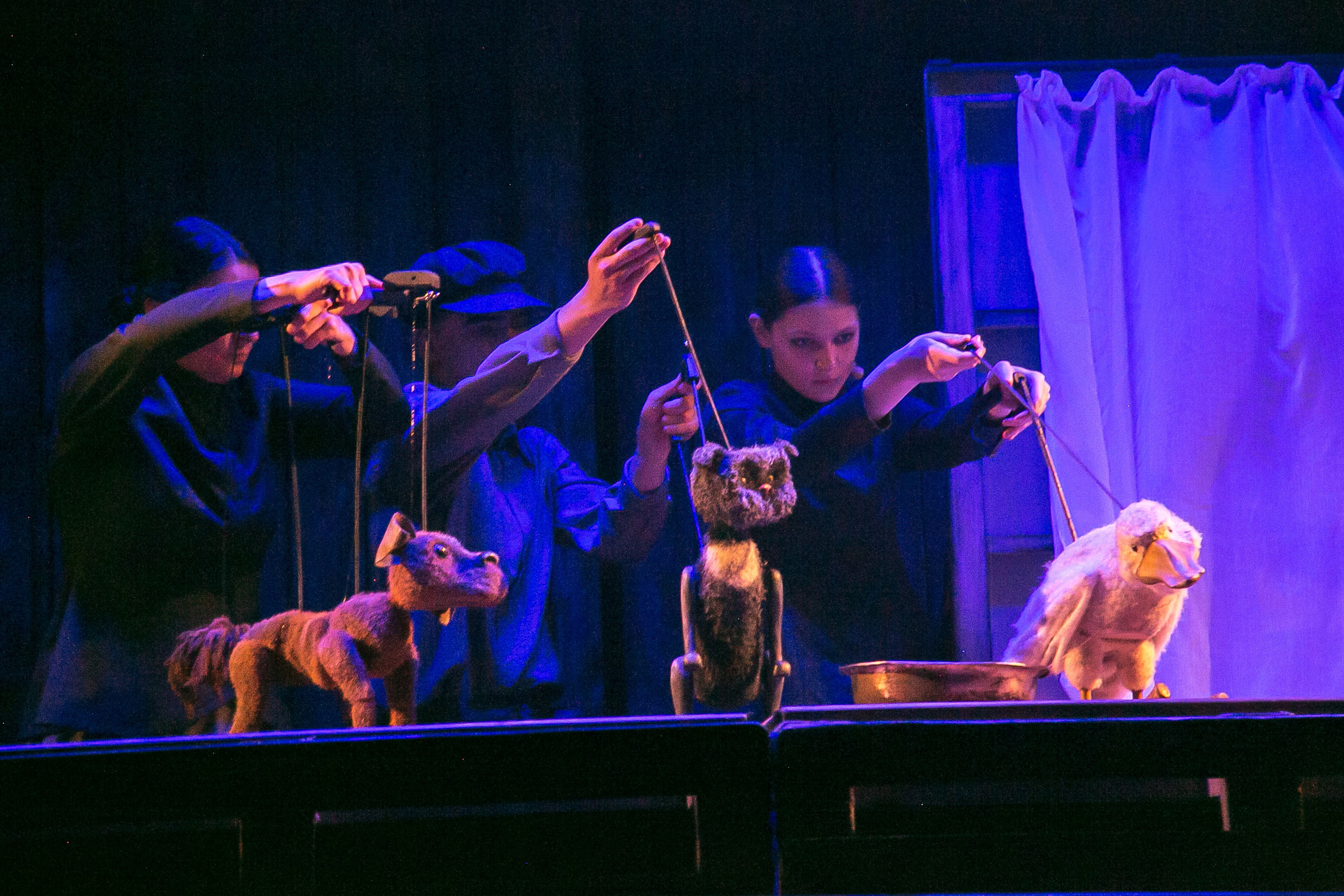 Спектакль «Каштанка». Художник по свету Максим Сергачев